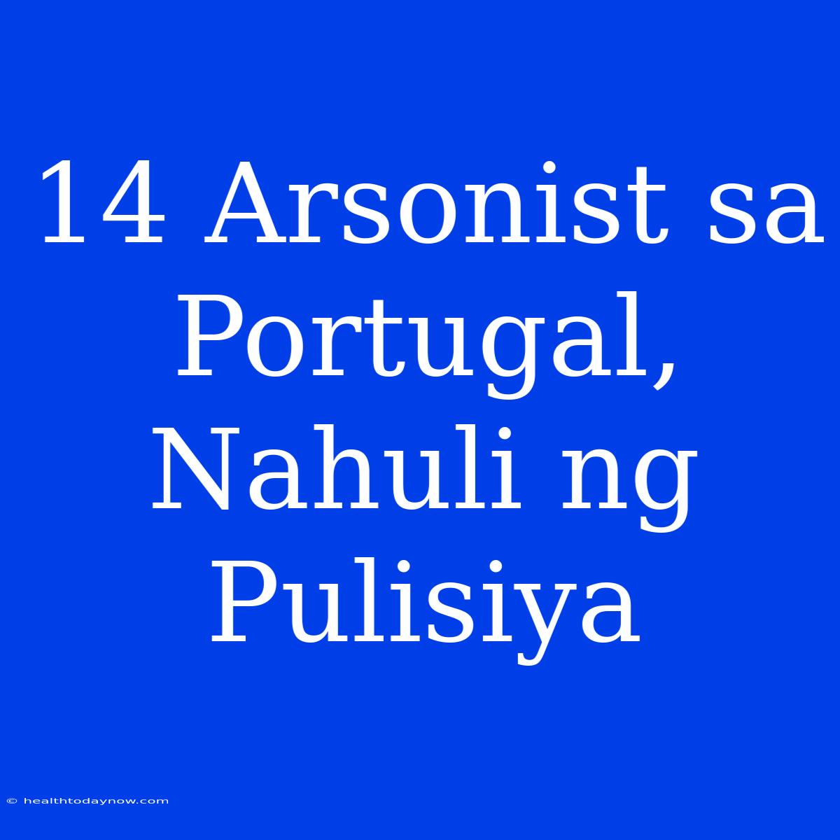 14 Arsonist Sa Portugal, Nahuli Ng Pulisiya