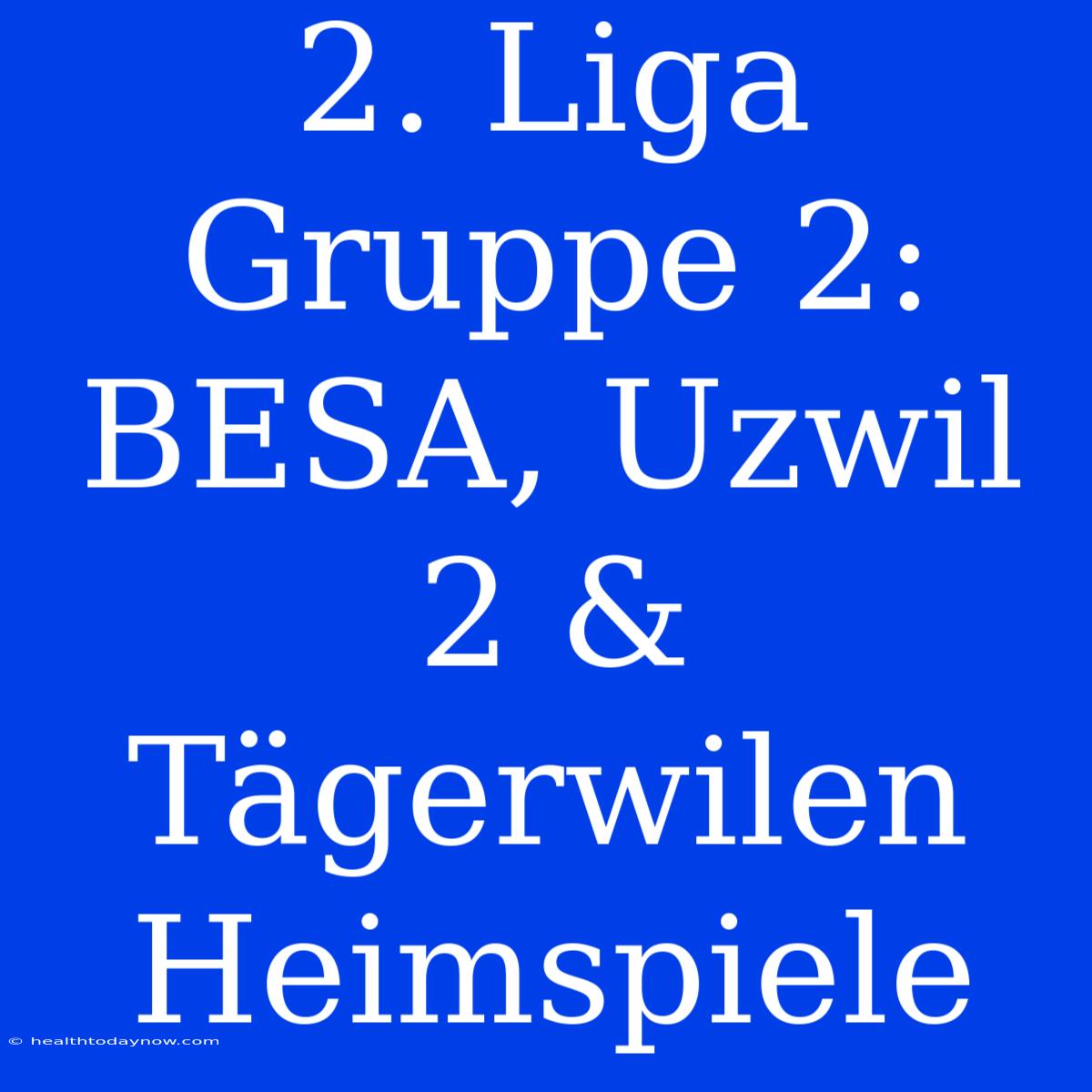 2. Liga Gruppe 2: BESA, Uzwil 2 & Tägerwilen Heimspiele