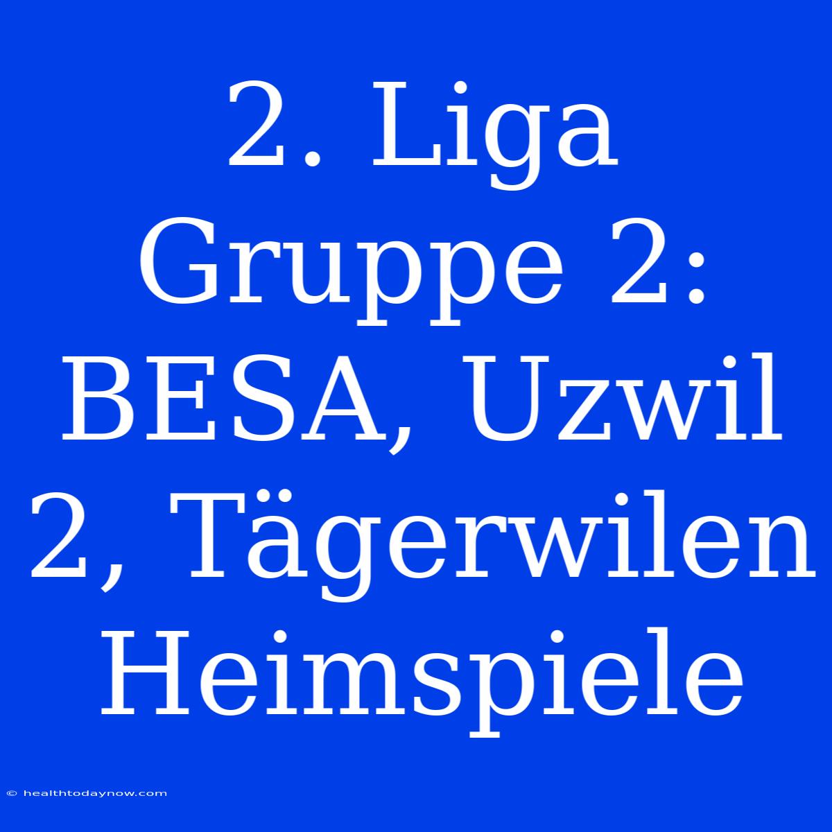 2. Liga Gruppe 2: BESA, Uzwil 2, Tägerwilen Heimspiele