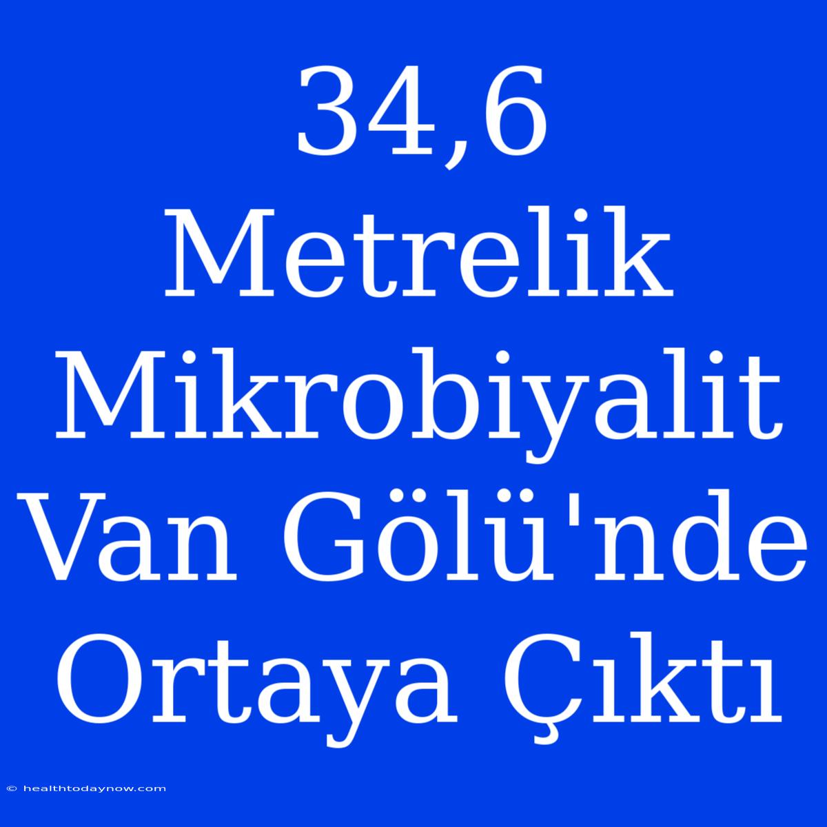 34,6 Metrelik Mikrobiyalit Van Gölü'nde Ortaya Çıktı