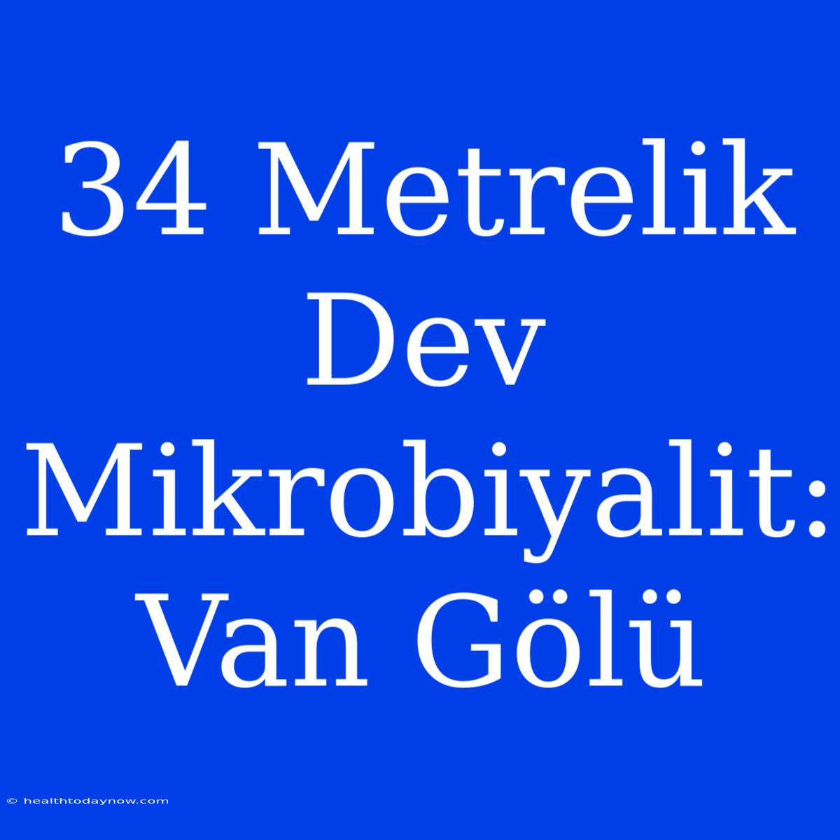 34 Metrelik Dev Mikrobiyalit: Van Gölü