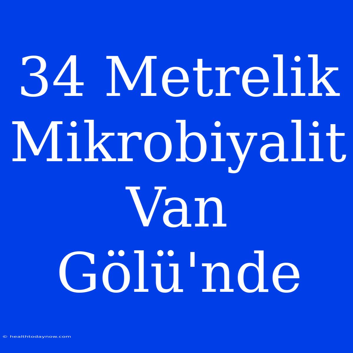 34 Metrelik Mikrobiyalit Van Gölü'nde