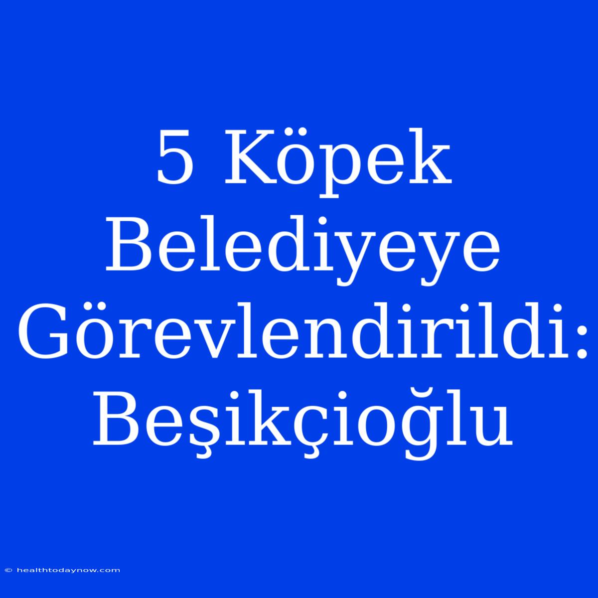 5 Köpek Belediyeye Görevlendirildi: Beşikçioğlu