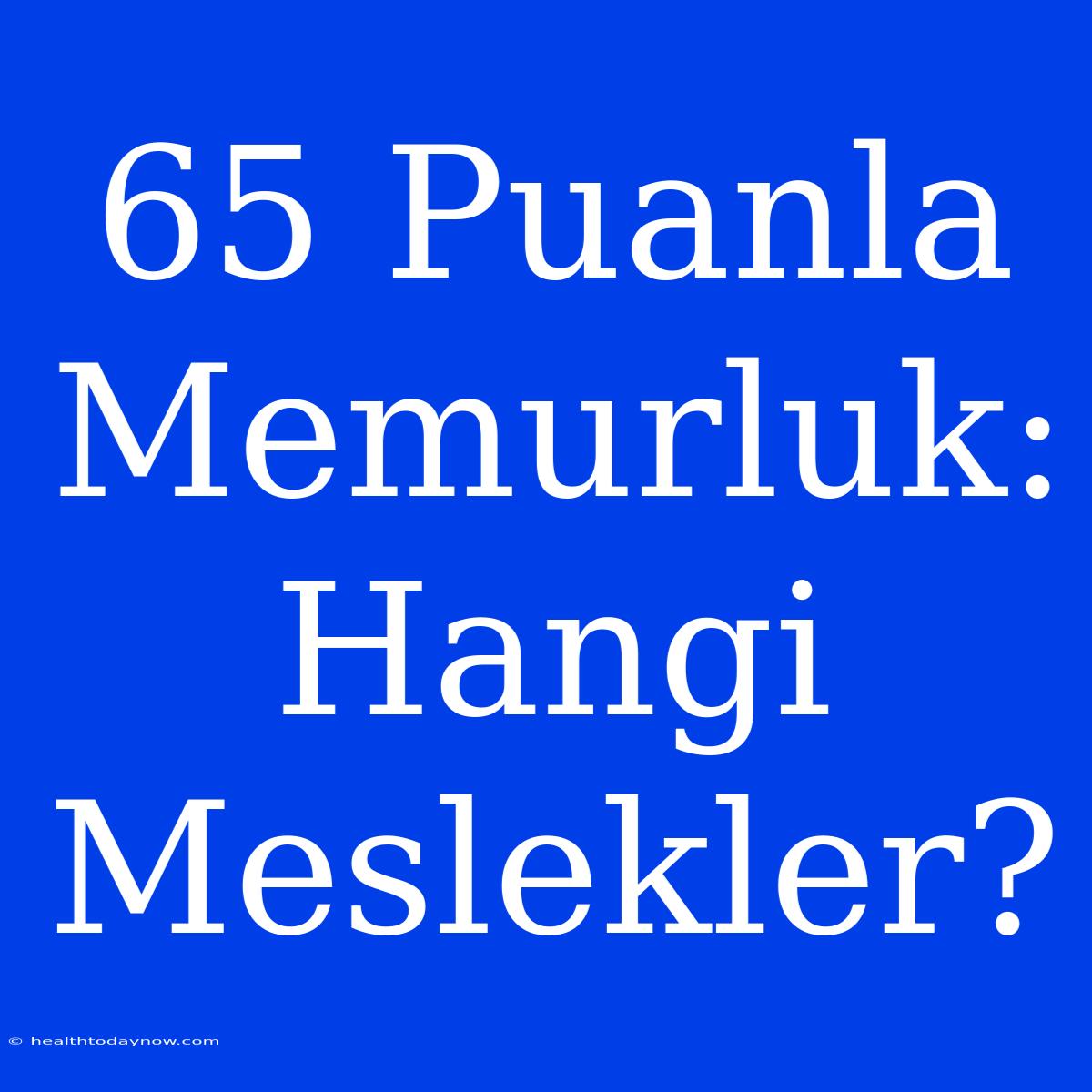 65 Puanla Memurluk: Hangi Meslekler?