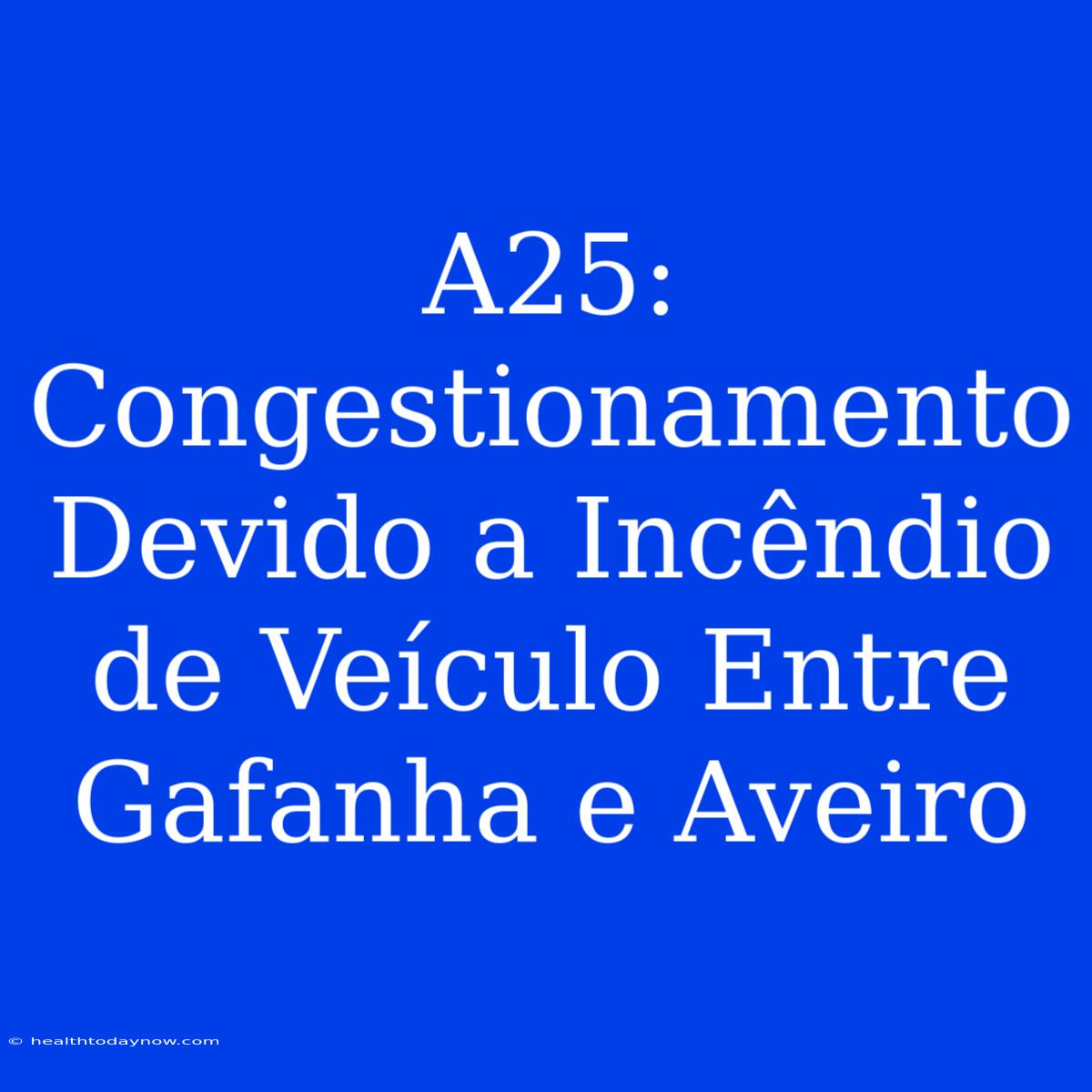 A25: Congestionamento Devido A Incêndio De Veículo Entre Gafanha E Aveiro 