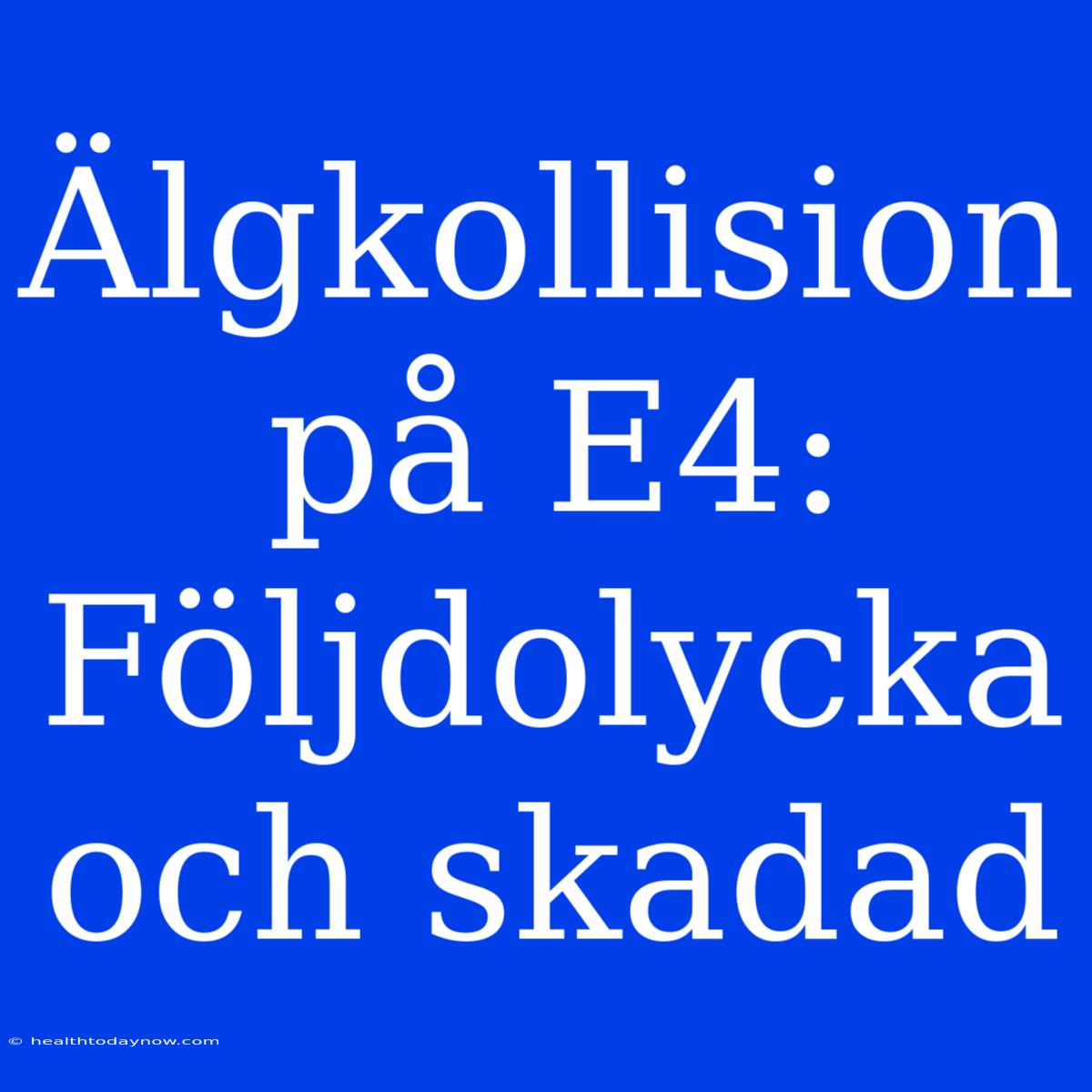 Älgkollision På E4: Följdolycka Och Skadad 