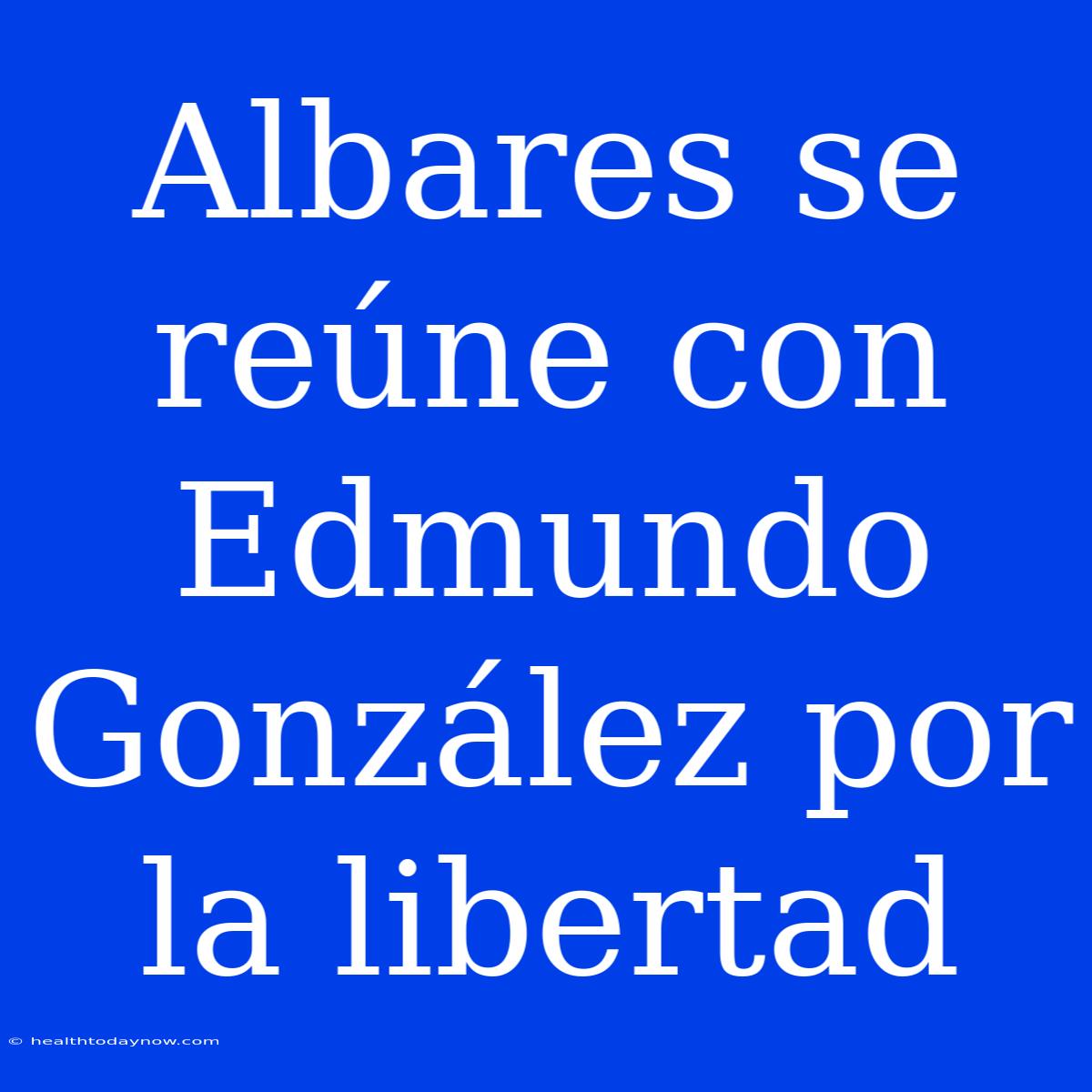 Albares Se Reúne Con Edmundo González Por La Libertad