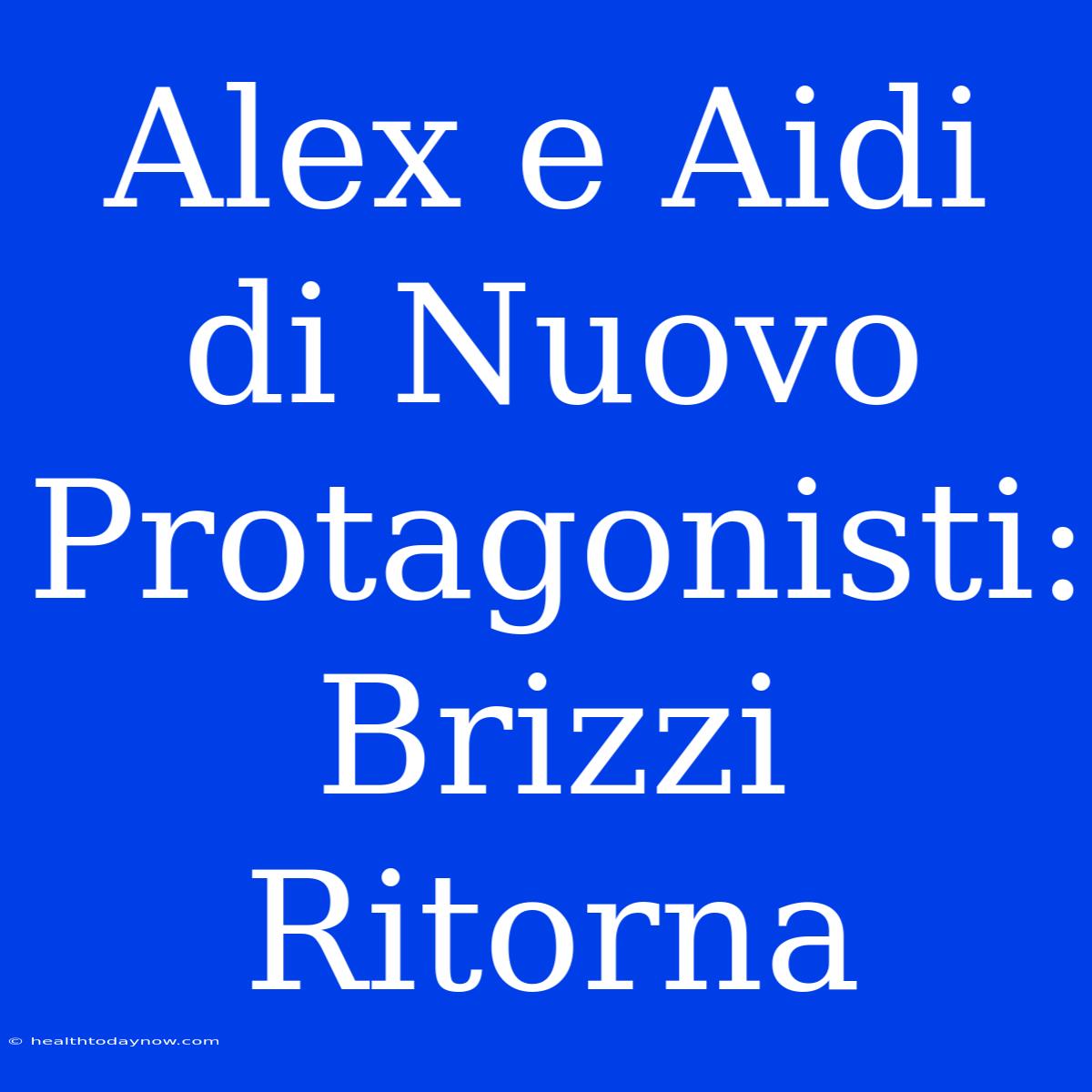 Alex E Aidi Di Nuovo Protagonisti: Brizzi Ritorna