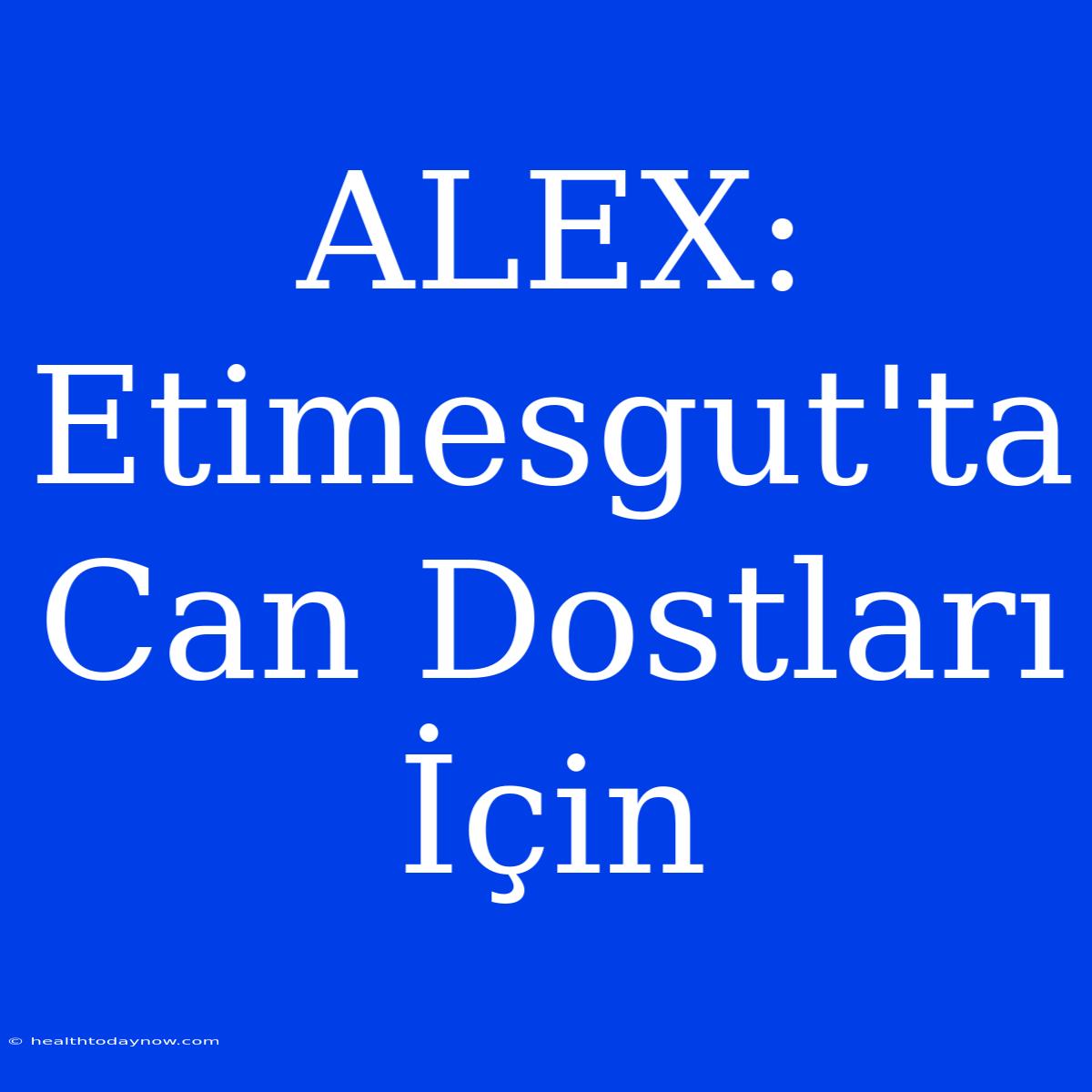 ALEX: Etimesgut'ta Can Dostları İçin