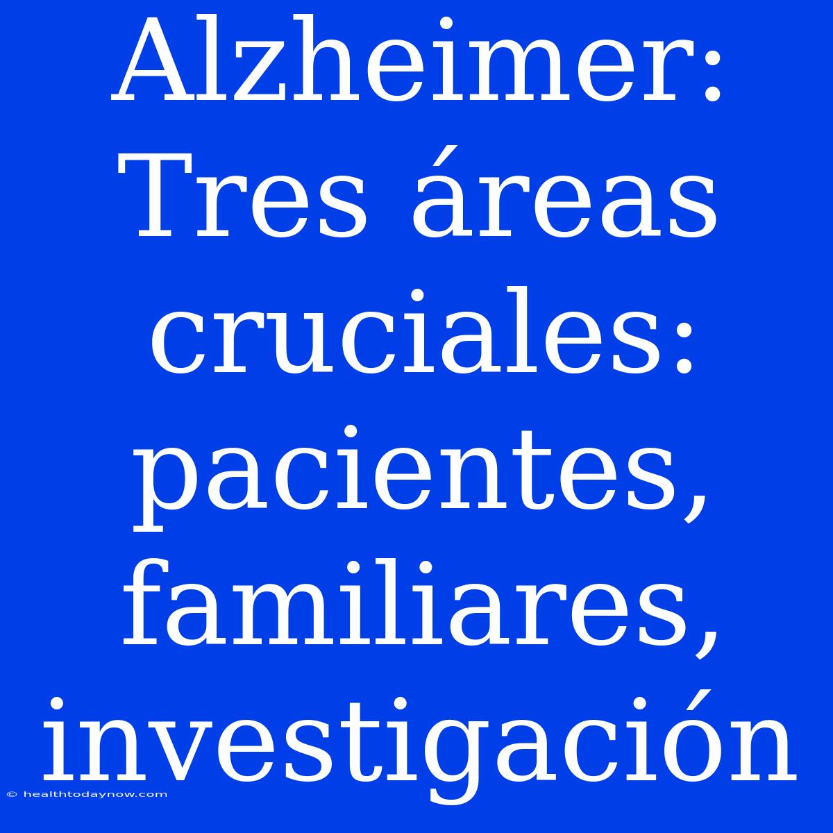 Alzheimer: Tres Áreas Cruciales: Pacientes, Familiares, Investigación