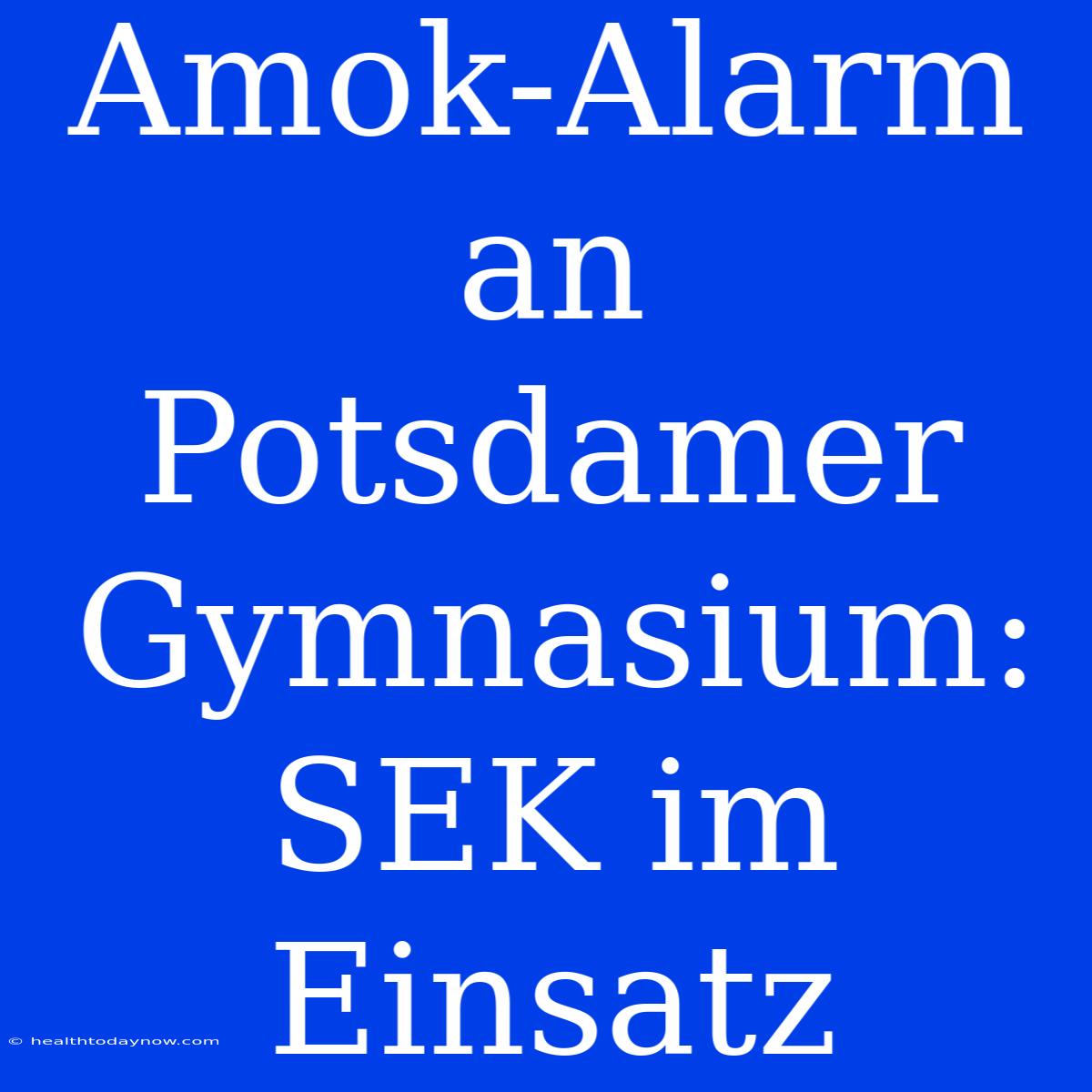 Amok-Alarm An Potsdamer Gymnasium: SEK Im Einsatz