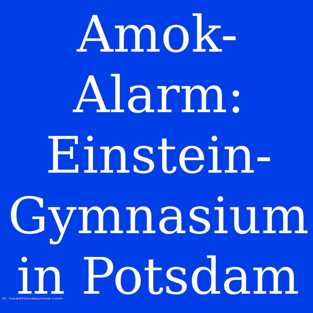 Amok-Alarm: Einstein-Gymnasium In Potsdam