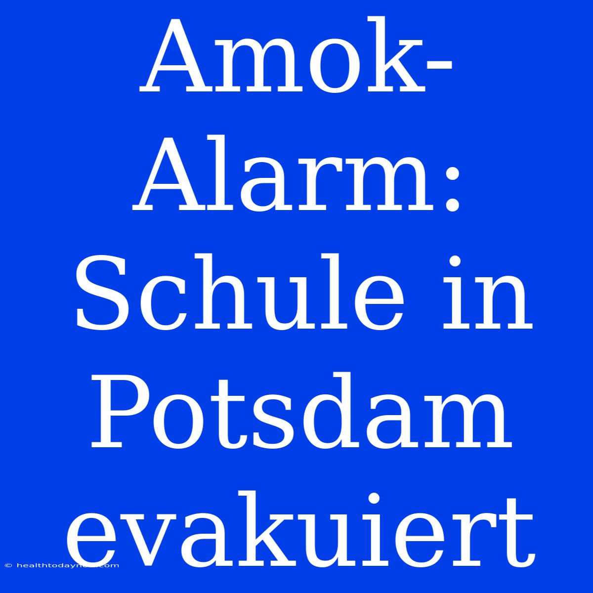 Amok-Alarm: Schule In Potsdam Evakuiert