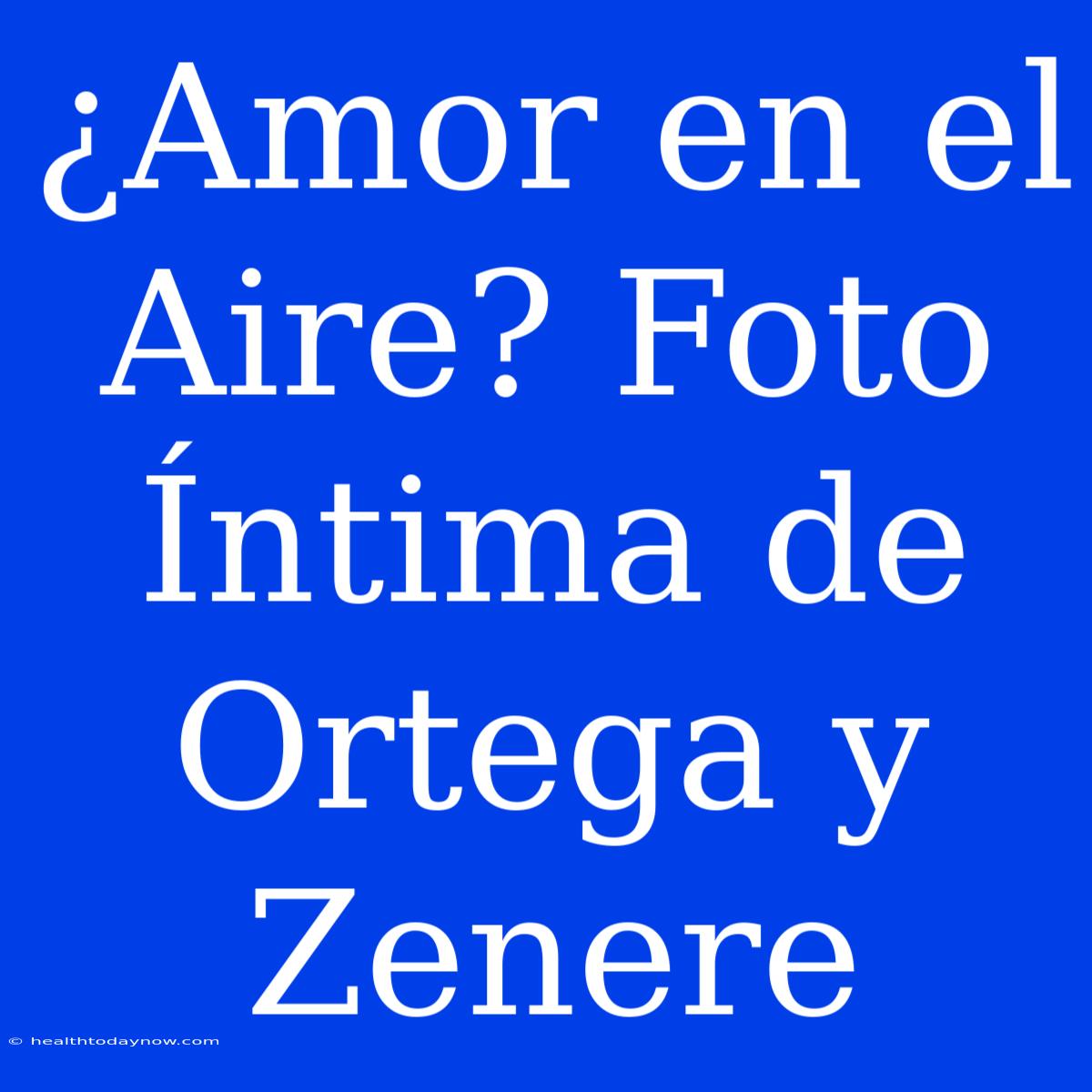 ¿Amor En El Aire? Foto Íntima De Ortega Y Zenere