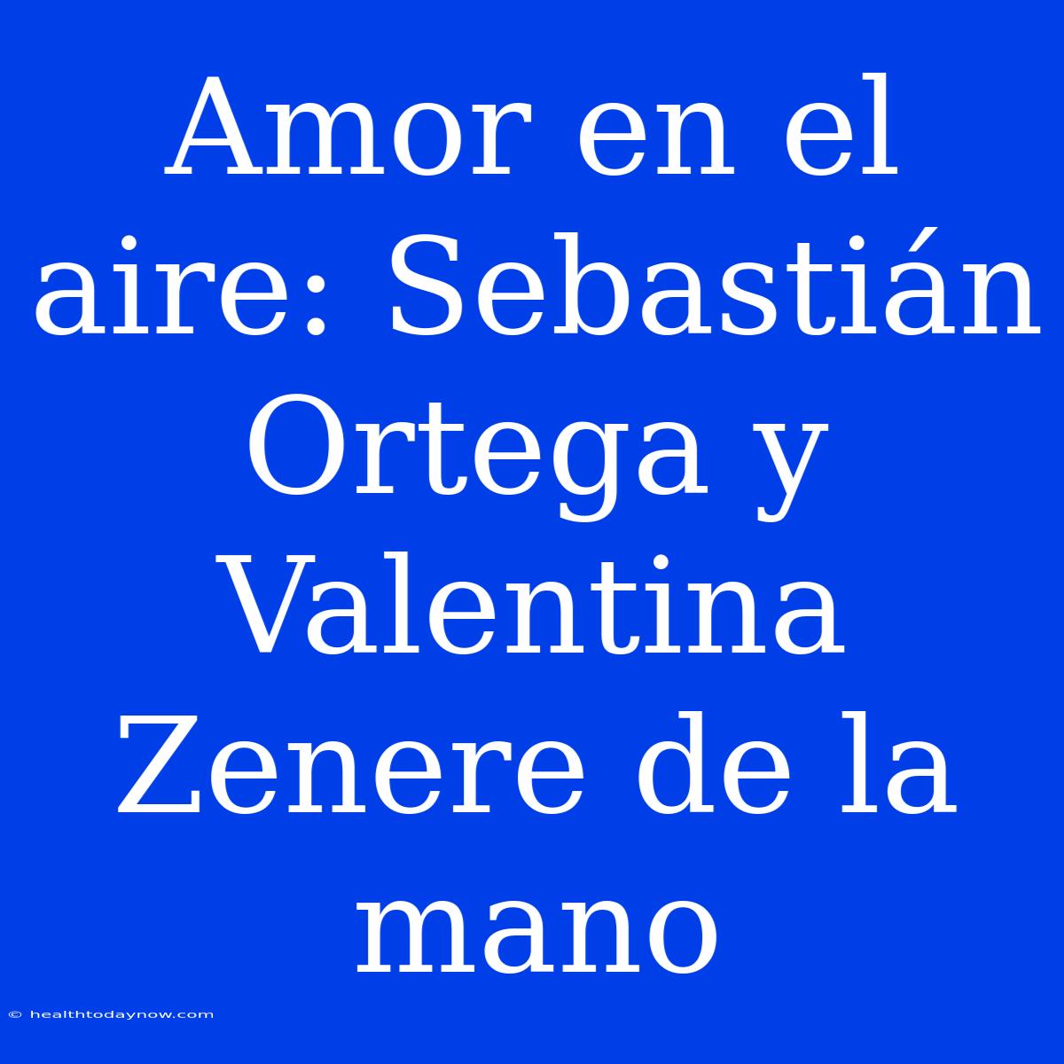 Amor En El Aire: Sebastián Ortega Y Valentina Zenere De La Mano