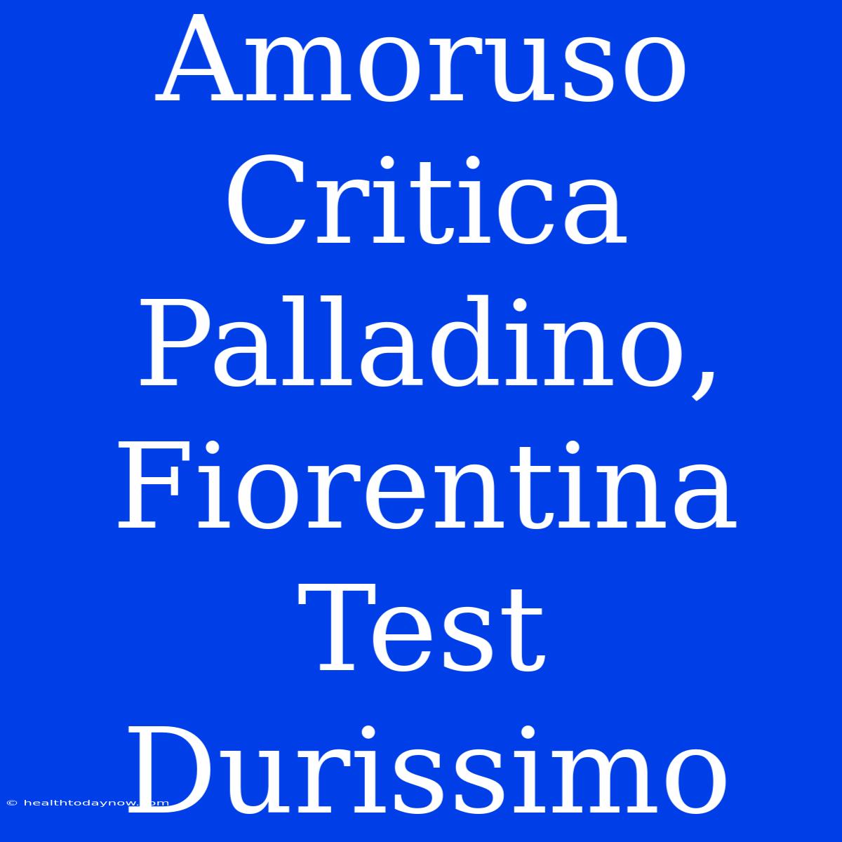 Amoruso Critica Palladino, Fiorentina Test Durissimo