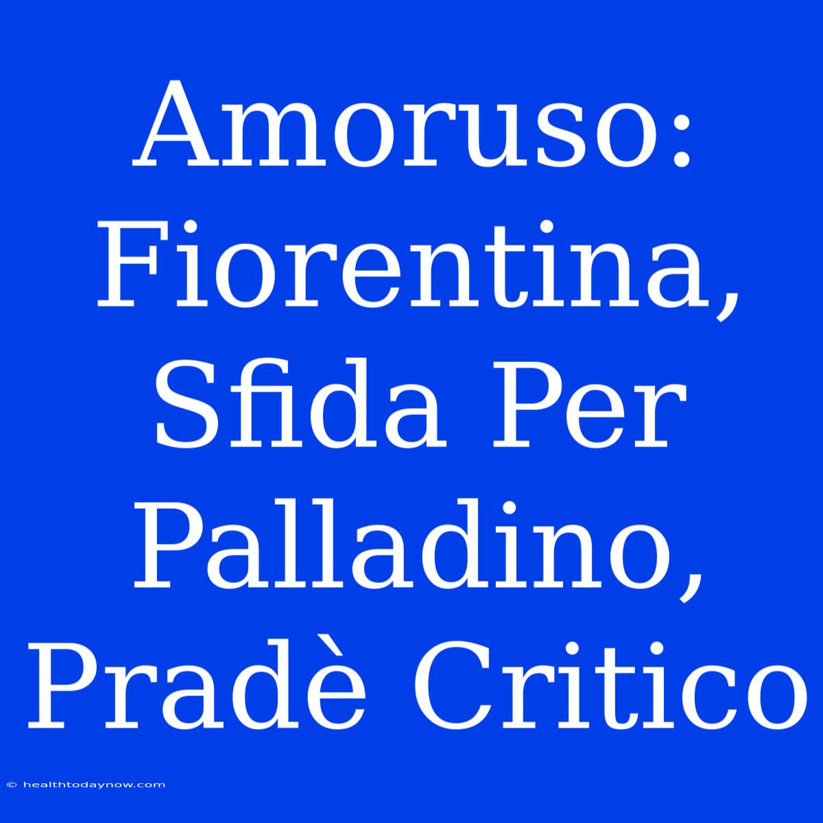 Amoruso: Fiorentina, Sfida Per Palladino, Pradè Critico