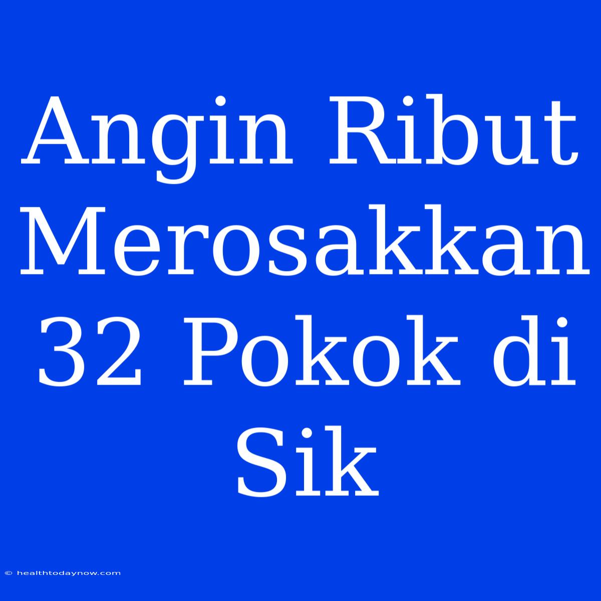 Angin Ribut Merosakkan 32 Pokok Di Sik