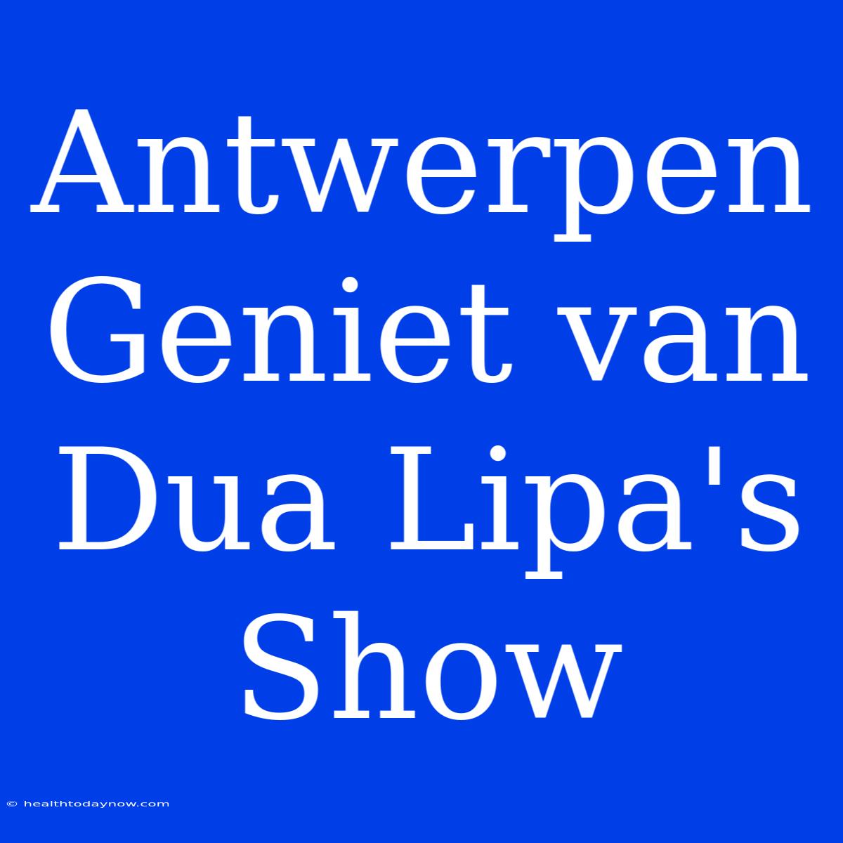 Antwerpen Geniet Van Dua Lipa's Show