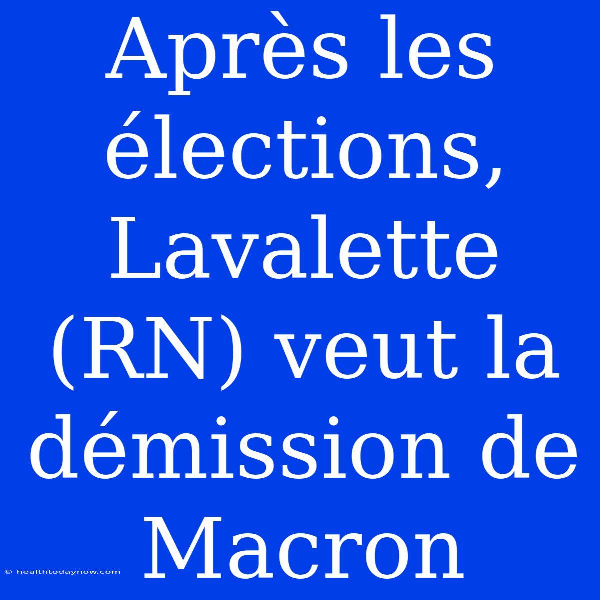 Après Les Élections, Lavalette (RN) Veut La Démission De Macron