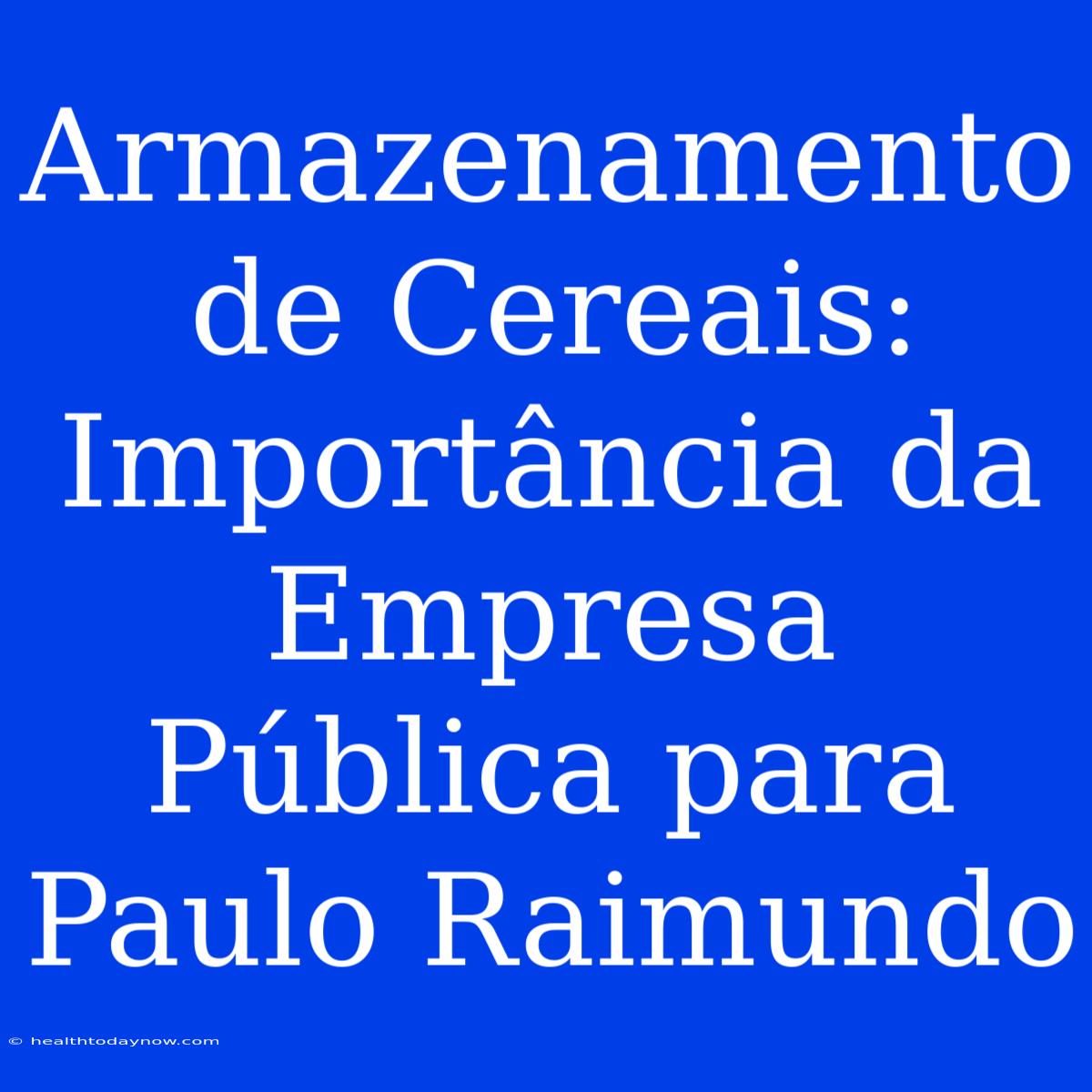 Armazenamento De Cereais: Importância Da Empresa Pública Para Paulo Raimundo