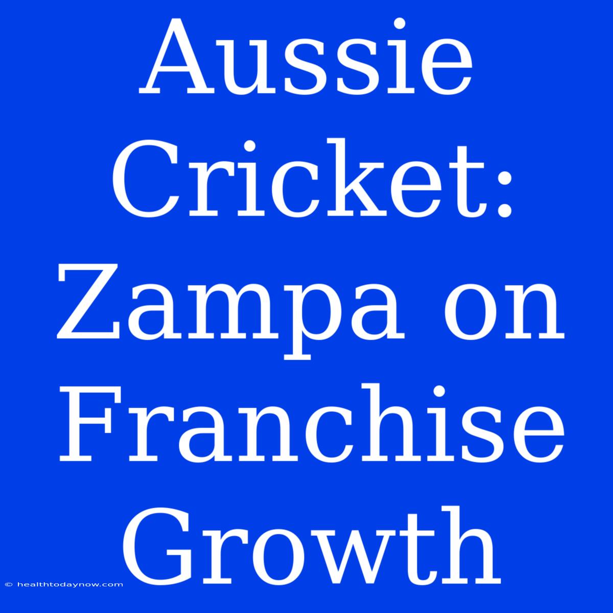 Aussie Cricket: Zampa On Franchise Growth