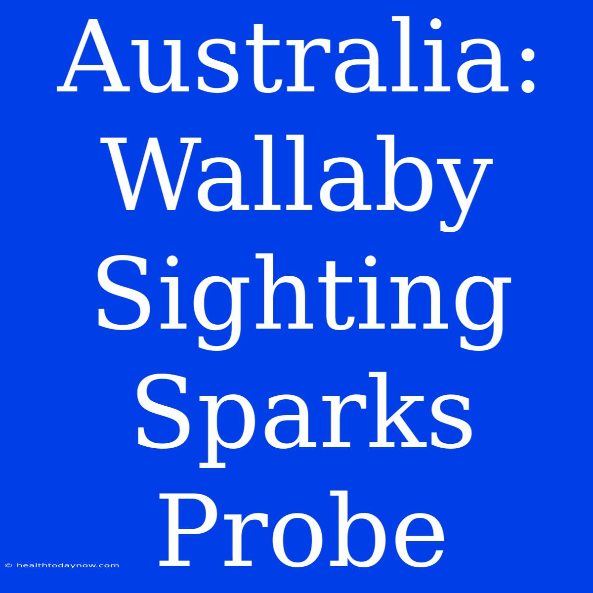 Australia: Wallaby Sighting Sparks Probe