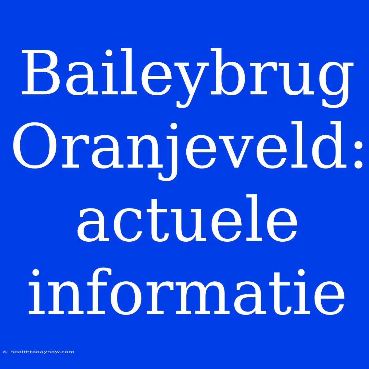 Baileybrug Oranjeveld: Actuele Informatie 