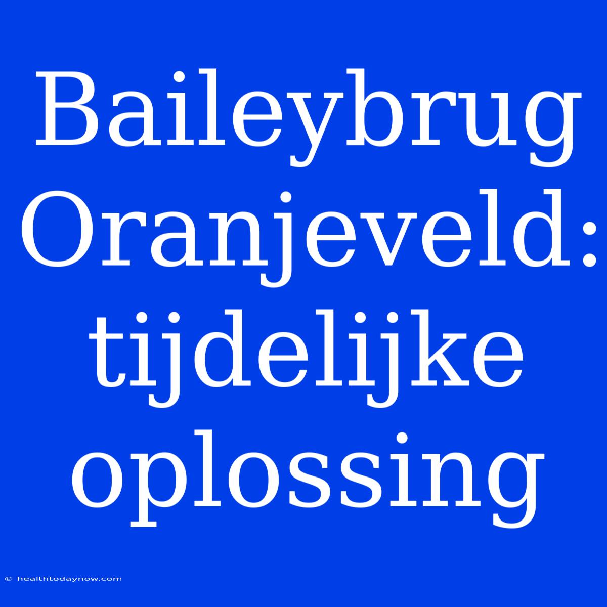 Baileybrug Oranjeveld: Tijdelijke Oplossing