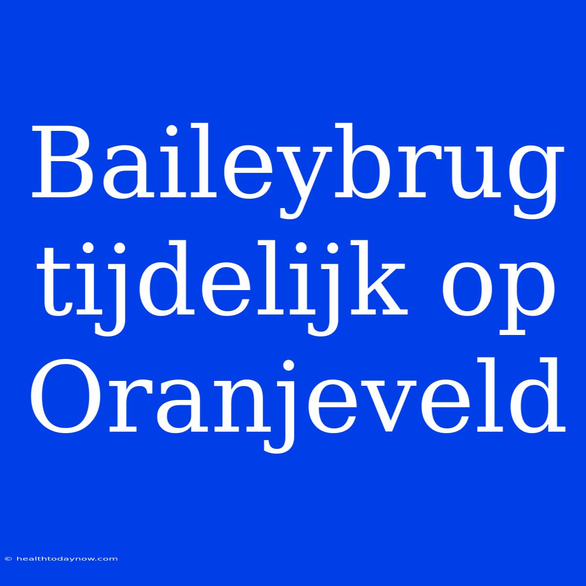 Baileybrug Tijdelijk Op Oranjeveld