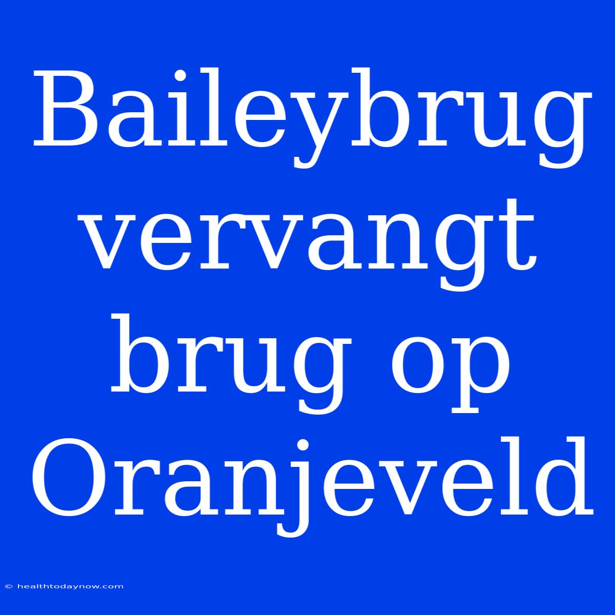 Baileybrug Vervangt Brug Op Oranjeveld