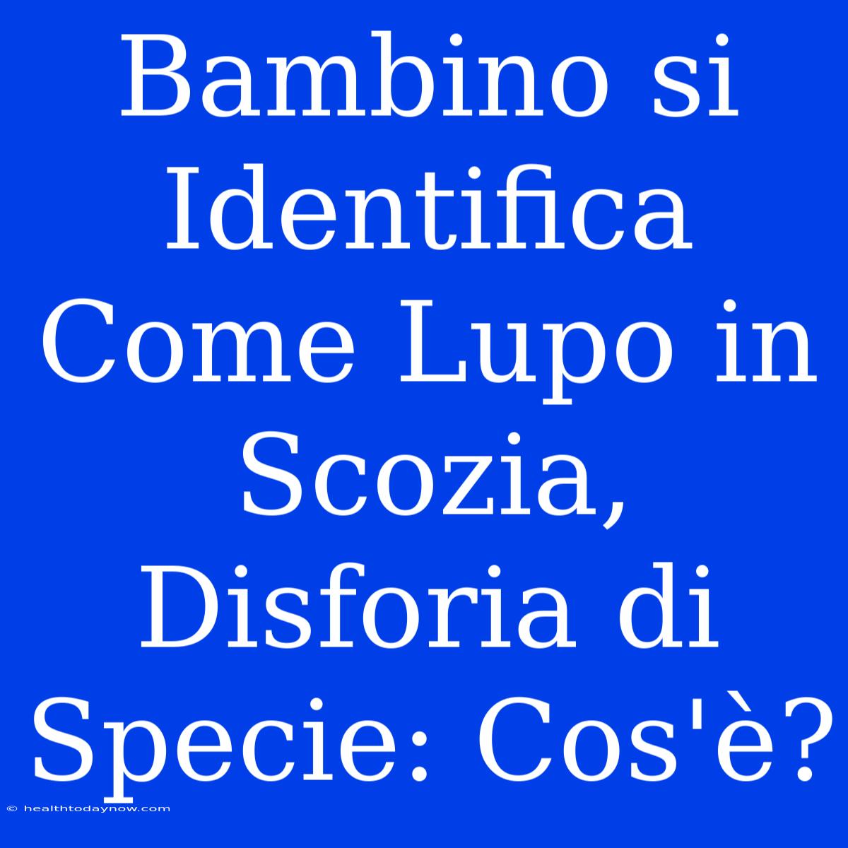 Bambino Si Identifica Come Lupo In Scozia, Disforia Di Specie: Cos'è?