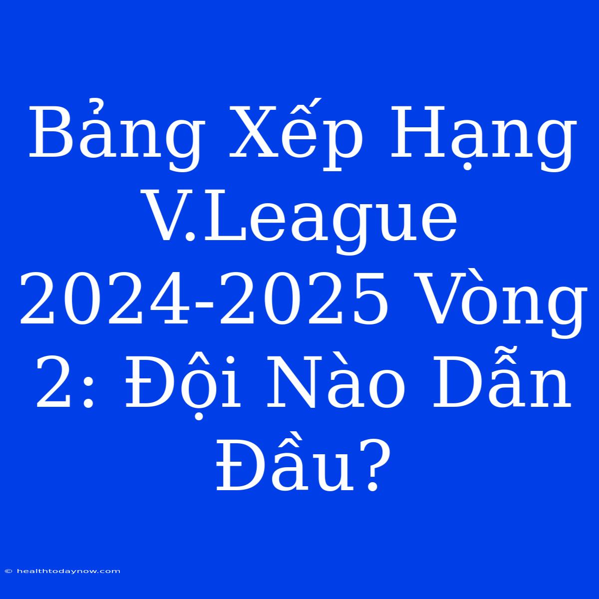 Bảng Xếp Hạng V.League 2024-2025 Vòng 2: Đội Nào Dẫn Đầu?