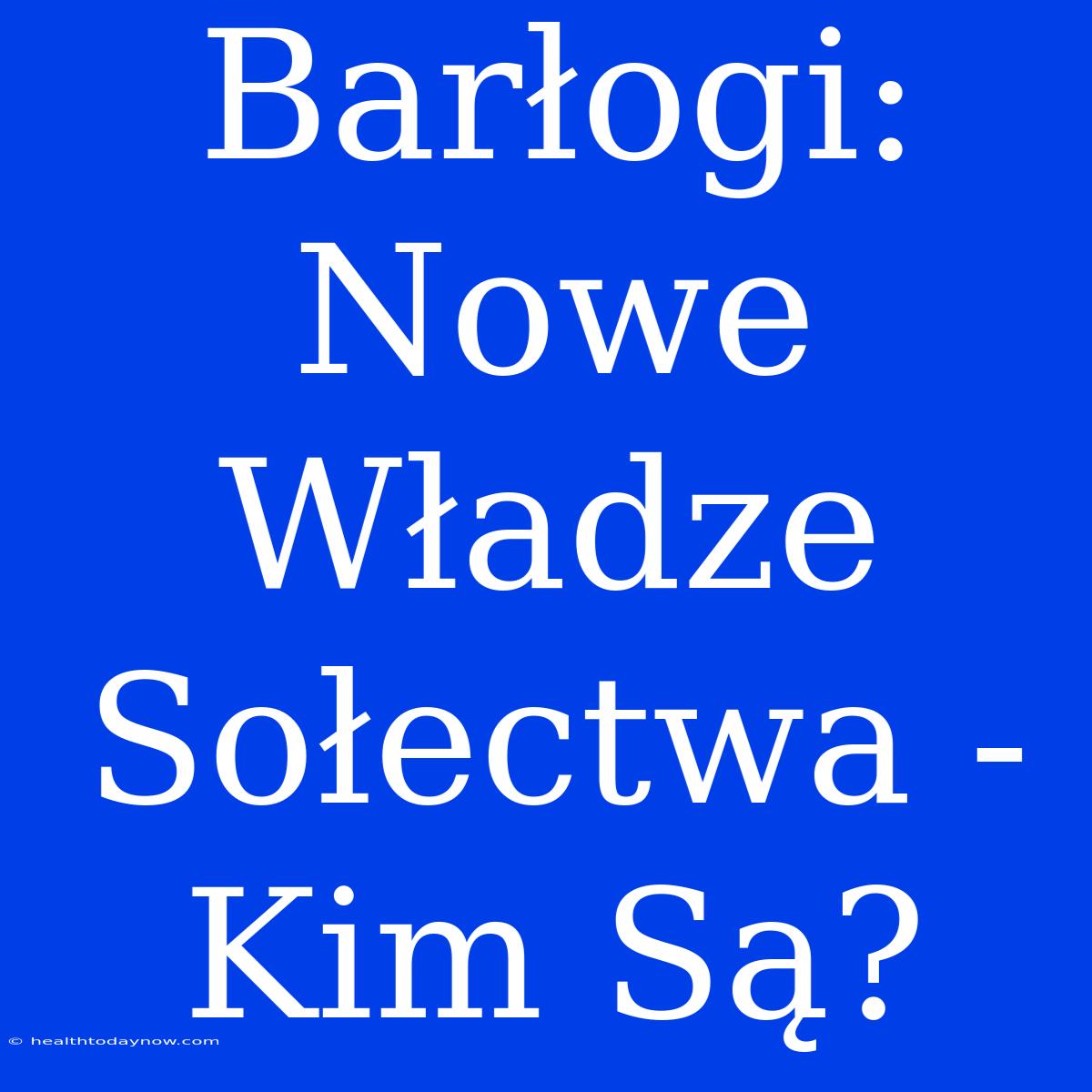 Barłogi: Nowe Władze Sołectwa - Kim Są?