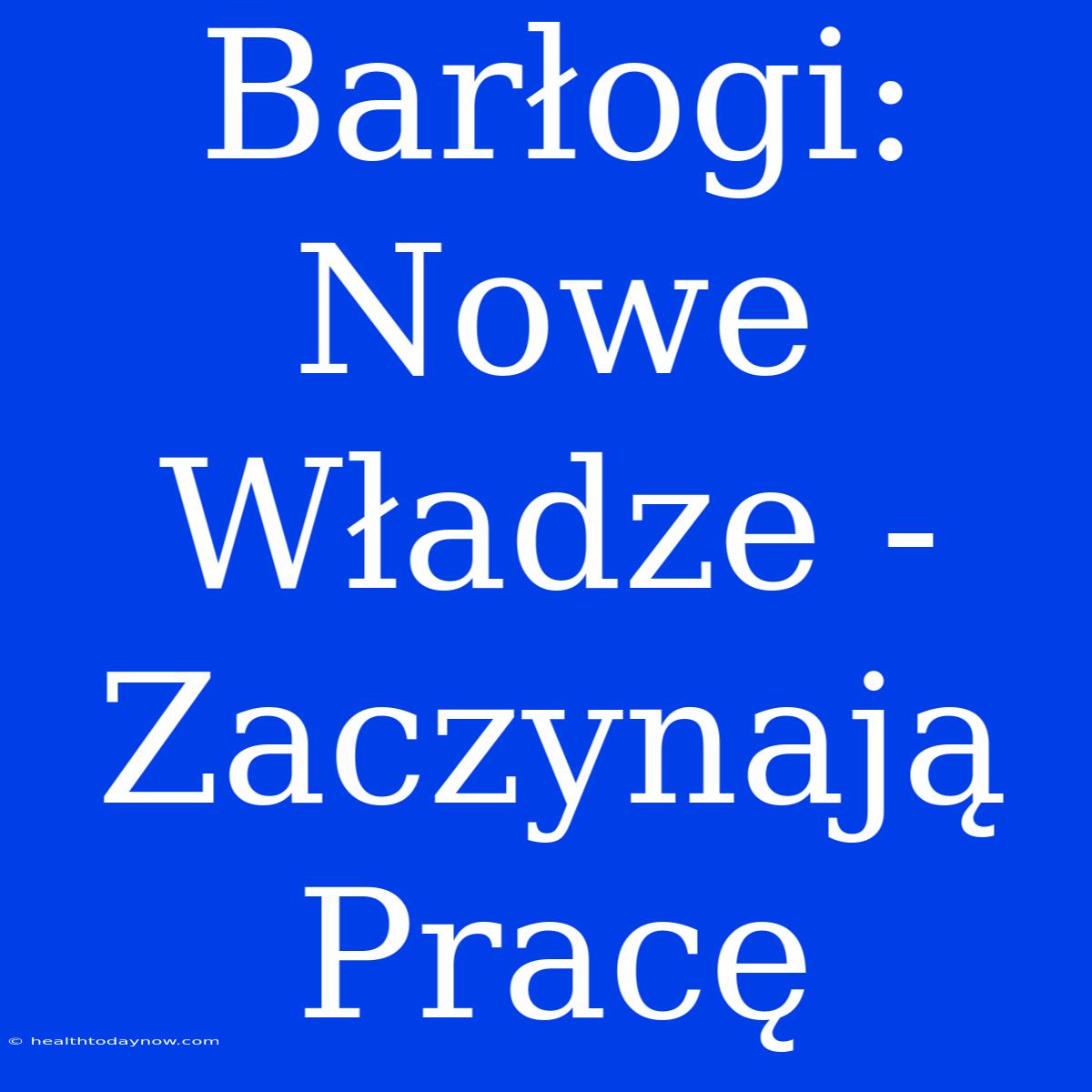 Barłogi: Nowe Władze - Zaczynają Pracę 