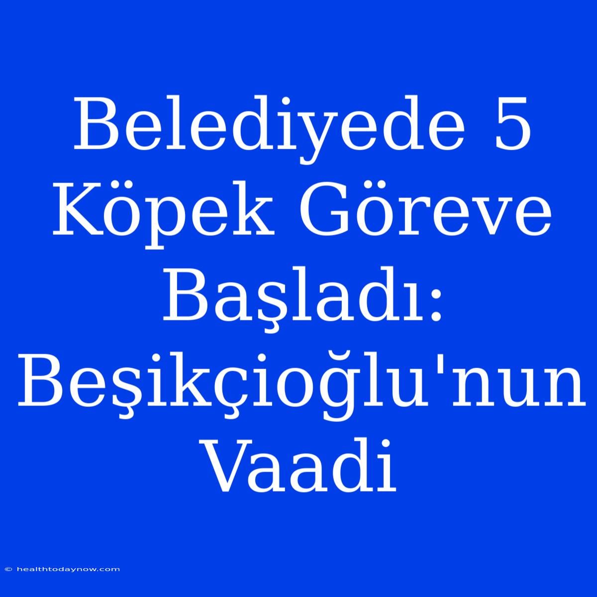 Belediyede 5 Köpek Göreve Başladı: Beşikçioğlu'nun Vaadi