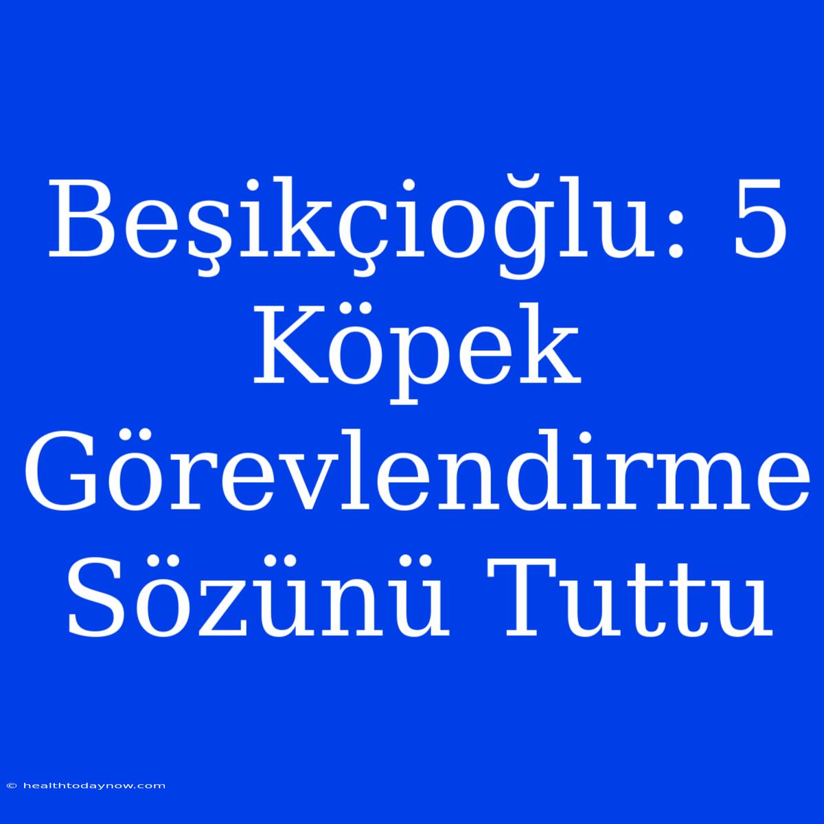 Beşikçioğlu: 5 Köpek Görevlendirme Sözünü Tuttu