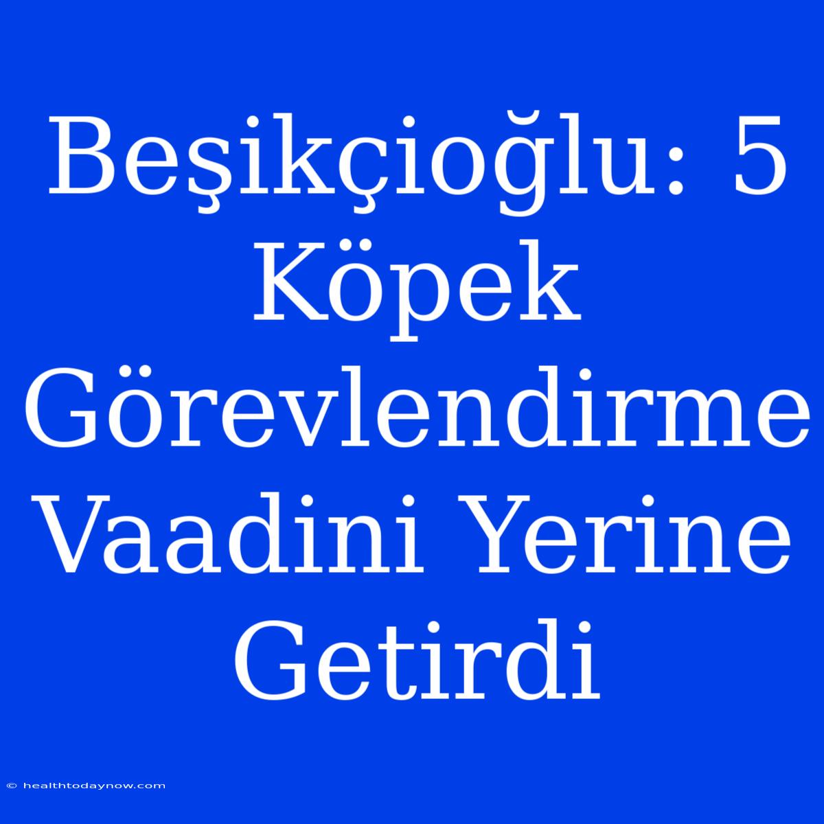 Beşikçioğlu: 5 Köpek Görevlendirme Vaadini Yerine Getirdi