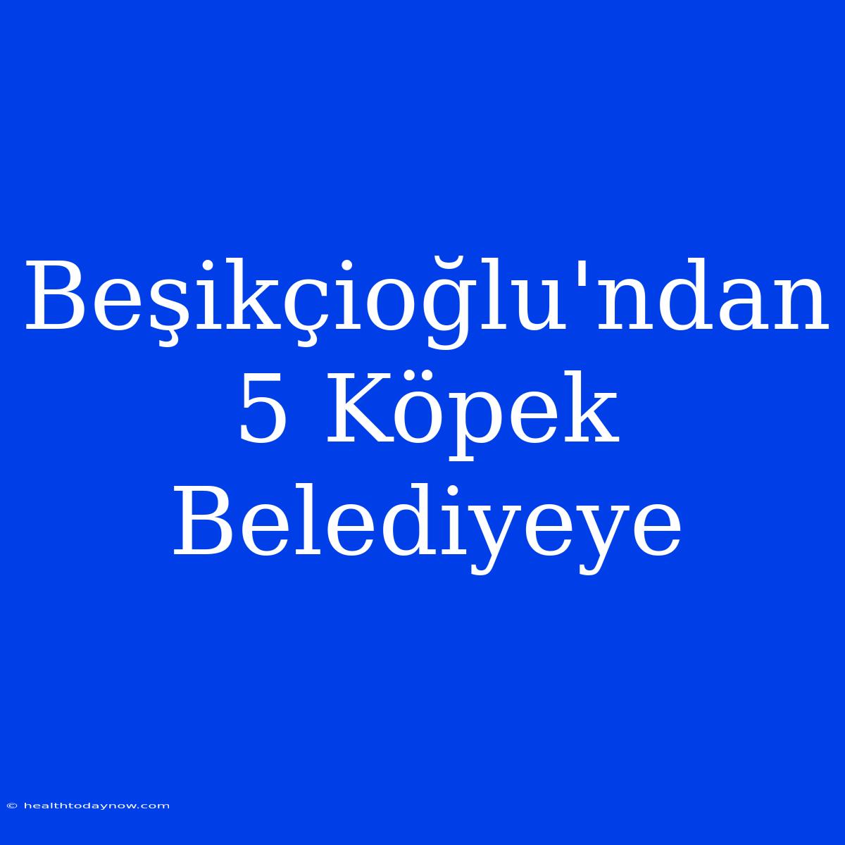 Beşikçioğlu'ndan 5 Köpek Belediyeye