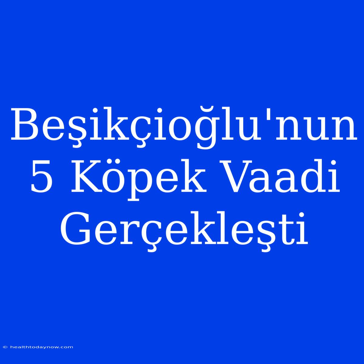 Beşikçioğlu'nun 5 Köpek Vaadi Gerçekleşti