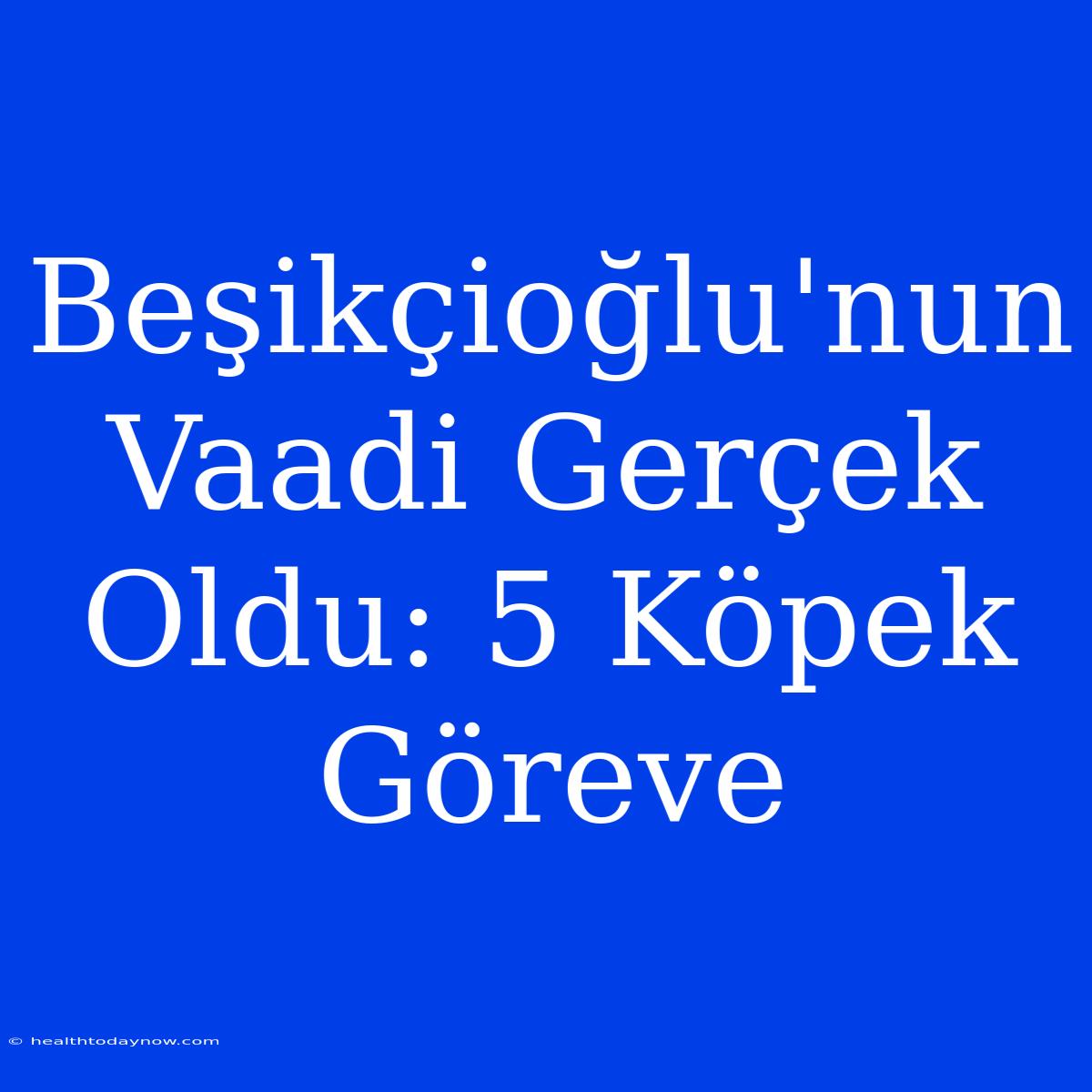 Beşikçioğlu'nun Vaadi Gerçek Oldu: 5 Köpek Göreve