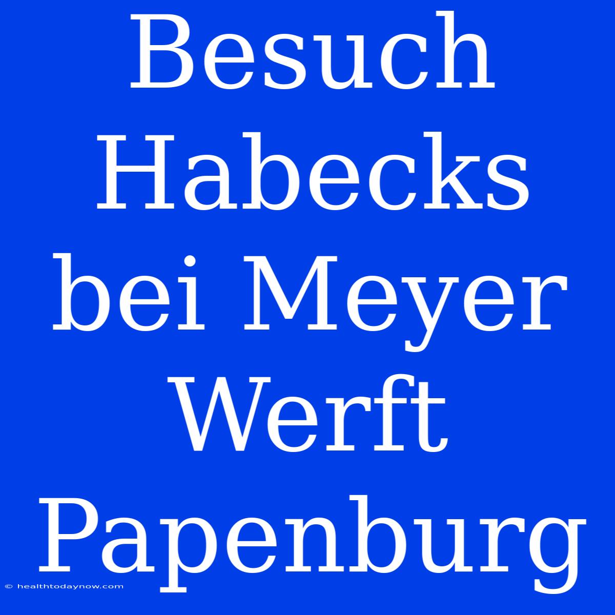 Besuch Habecks Bei Meyer Werft Papenburg