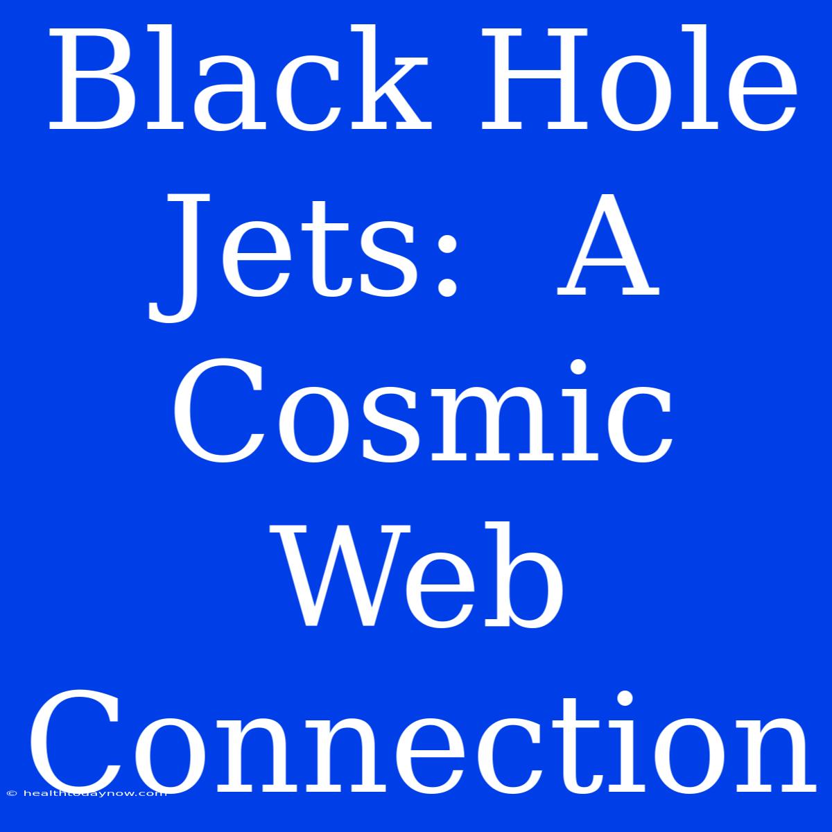 Black Hole Jets:  A Cosmic Web Connection