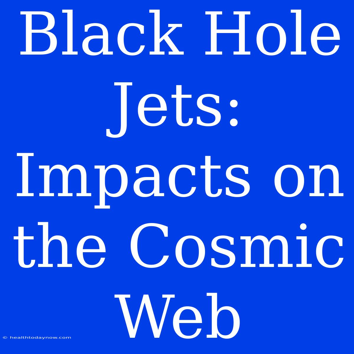 Black Hole Jets:  Impacts On The Cosmic Web