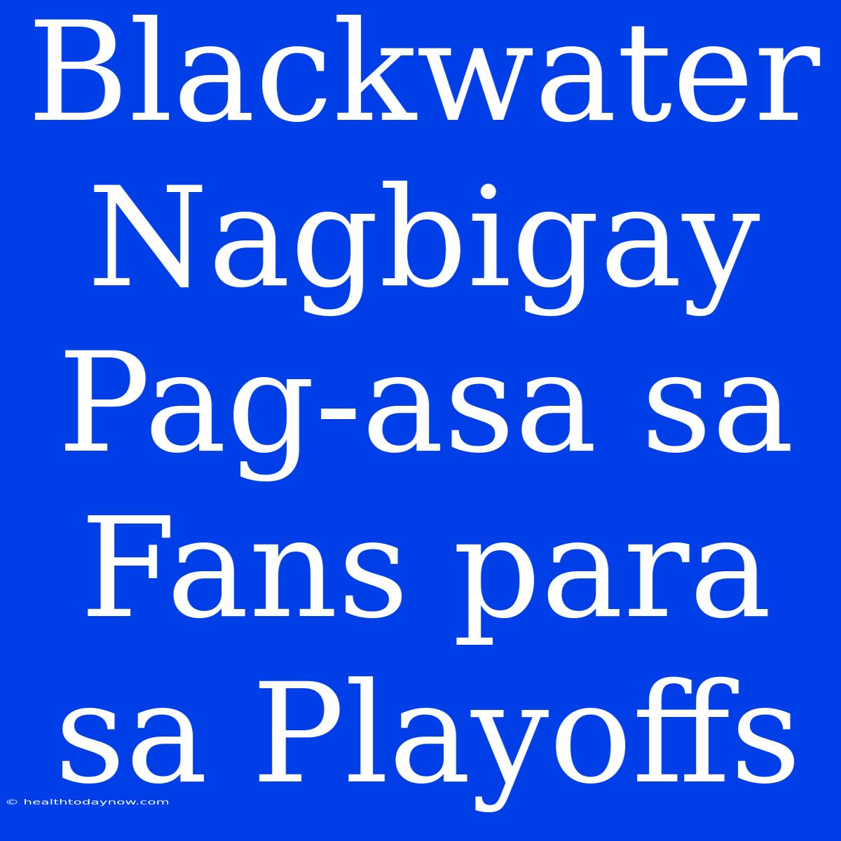 Blackwater Nagbigay Pag-asa Sa Fans Para Sa Playoffs