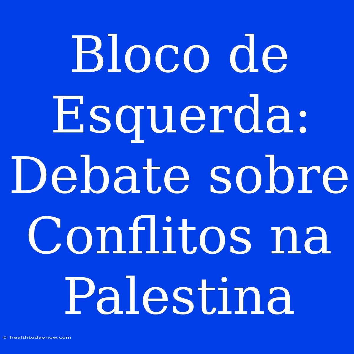 Bloco De Esquerda: Debate Sobre Conflitos Na Palestina 