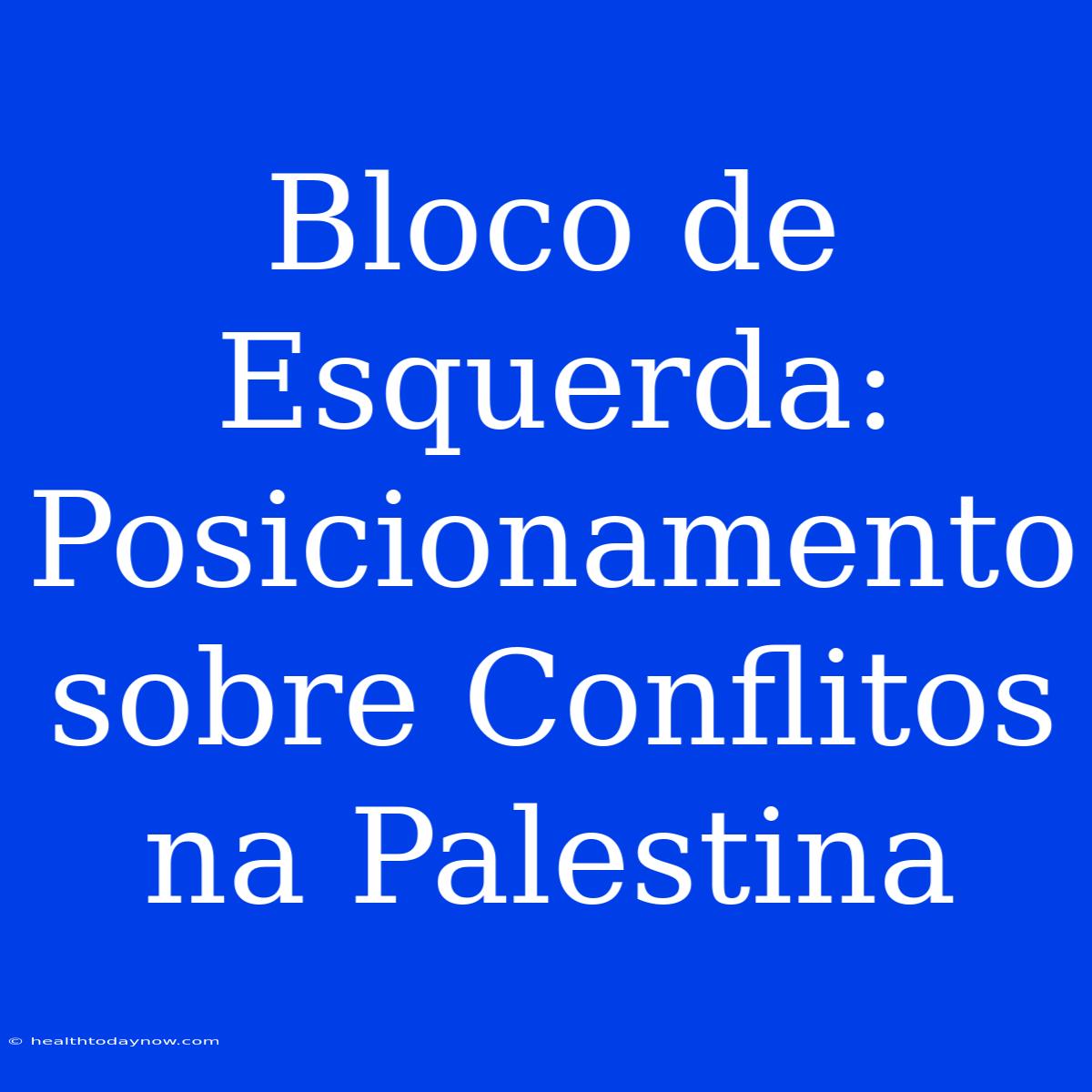 Bloco De Esquerda: Posicionamento Sobre Conflitos Na Palestina