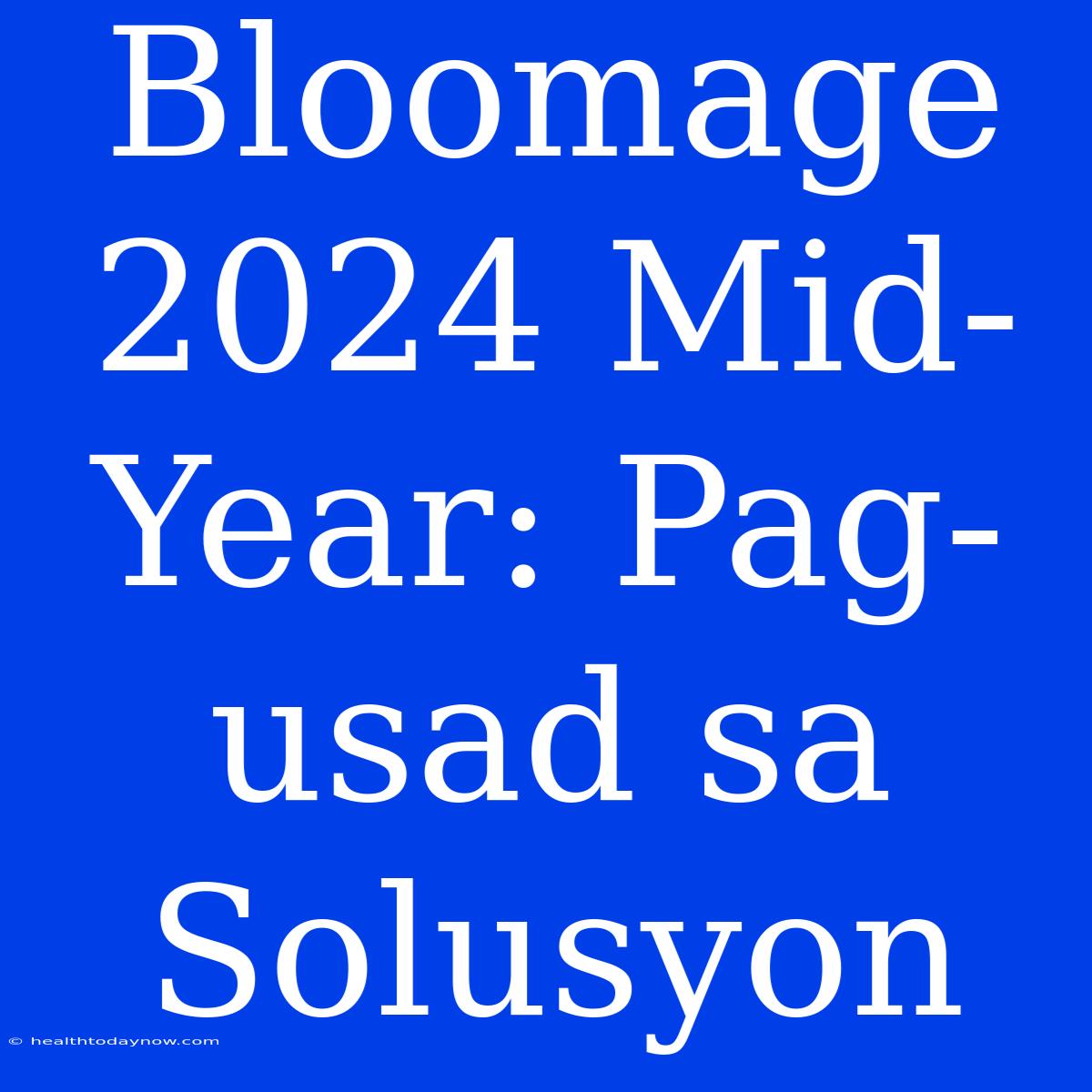 Bloomage 2024 Mid-Year: Pag-usad Sa Solusyon