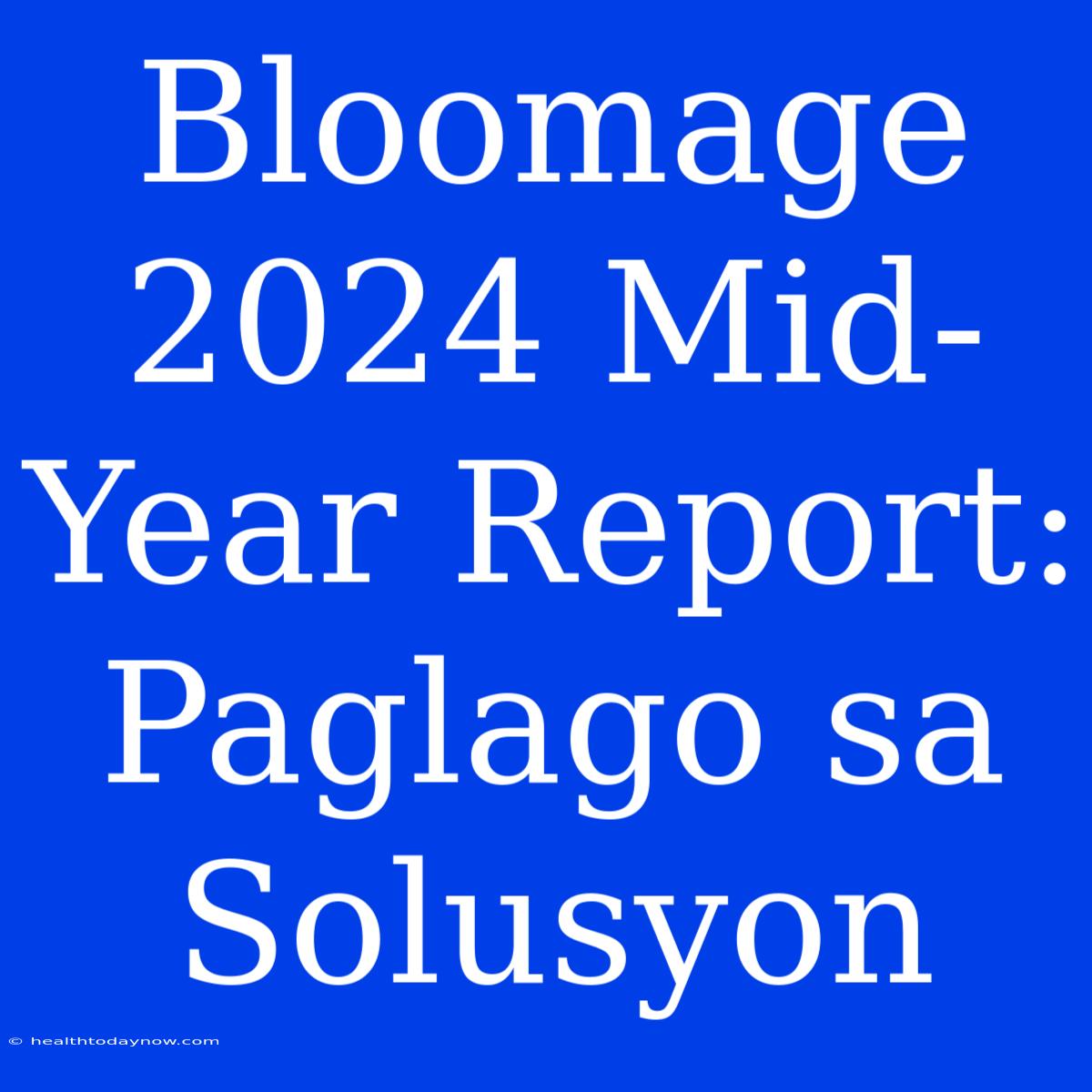 Bloomage 2024 Mid-Year Report: Paglago Sa Solusyon