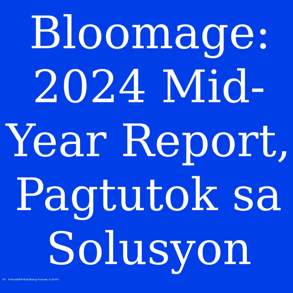 Bloomage: 2024 Mid-Year Report, Pagtutok Sa Solusyon